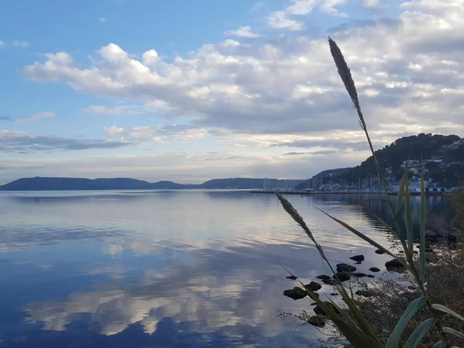 Eine kleine Ecke der Provence. Privater beheizter Pool-Buiten