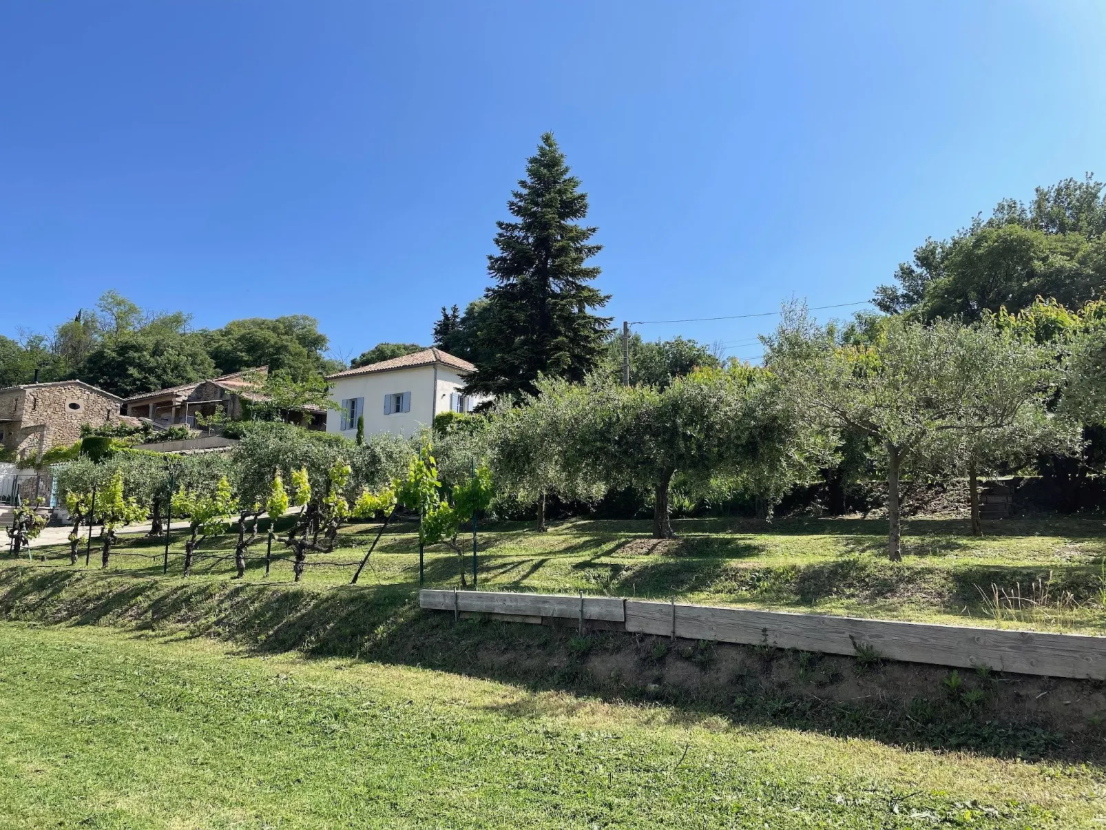 Maison Carrée-Buiten