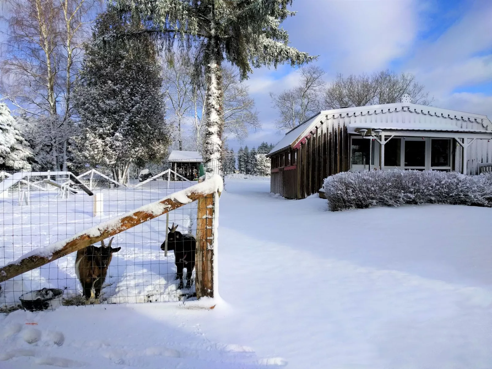 Charmantes Ferienhaus mit gemeinsamem Grill-Buiten