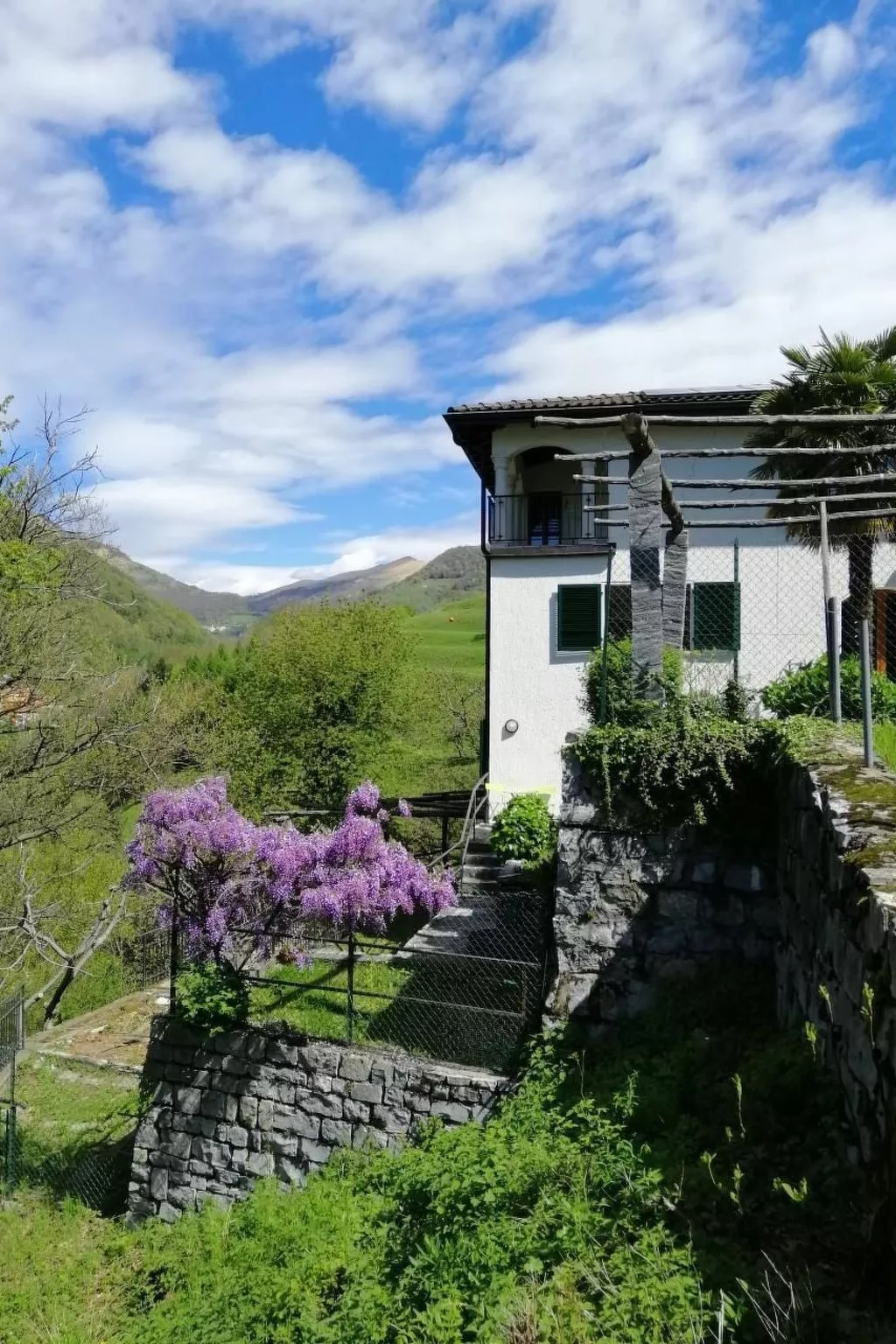 Mit Bergblick-Image-tags.info