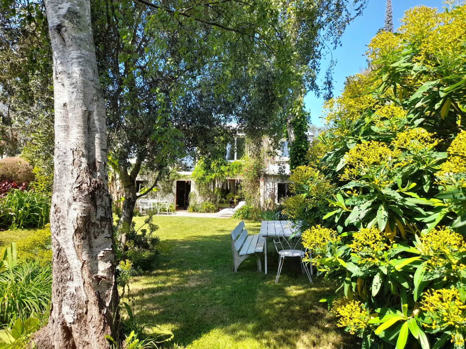 Großes Familienhaus mit schön angelegtem Garten-Buiten