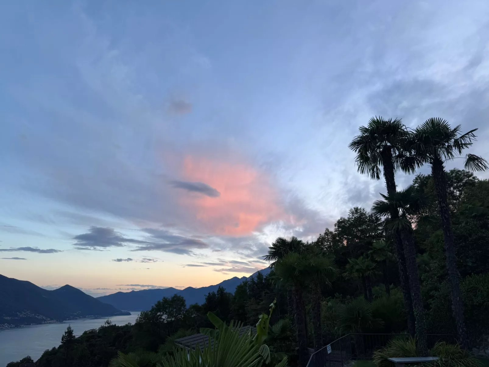 La Camelina - Contra-Buiten