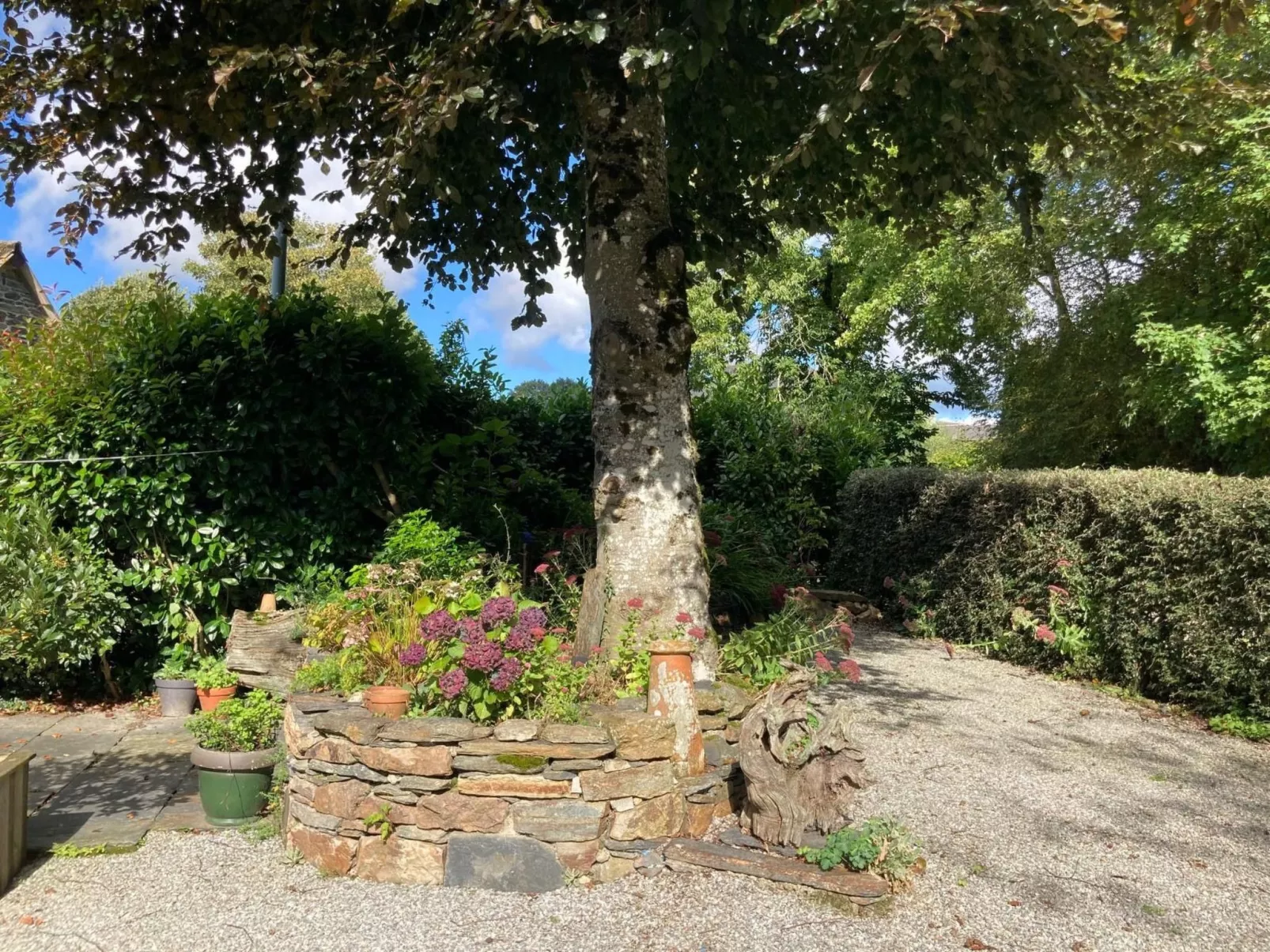 Kleiner Kokon mit seinem geheimen Garten-Image-tags.info