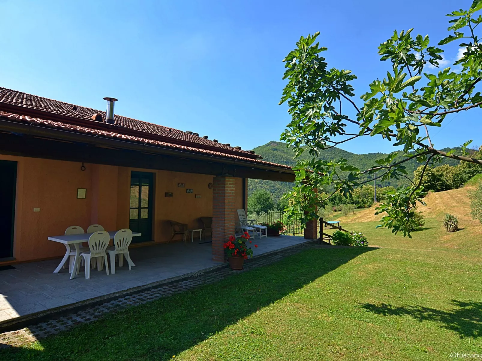 'Alba'-Image-tags.info