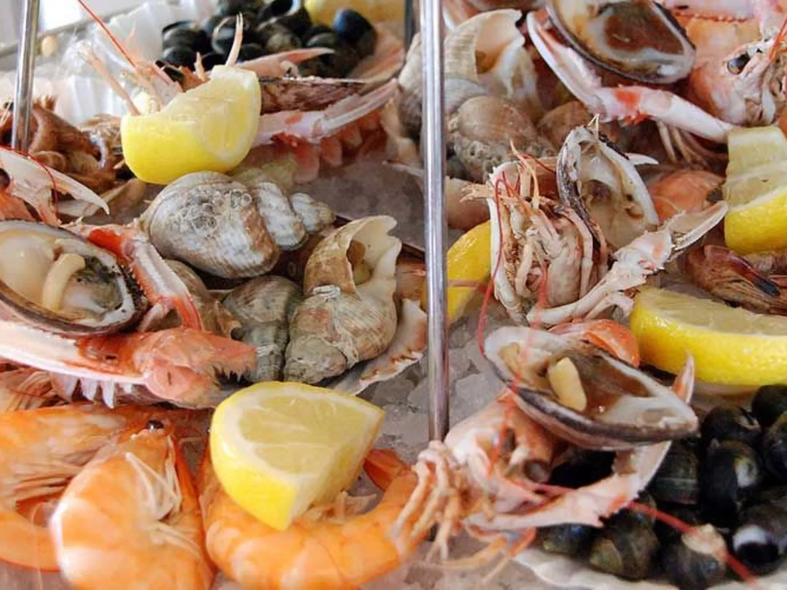 Mobilheim mit privatem Premium-Jacuzzi-Image-tags.info