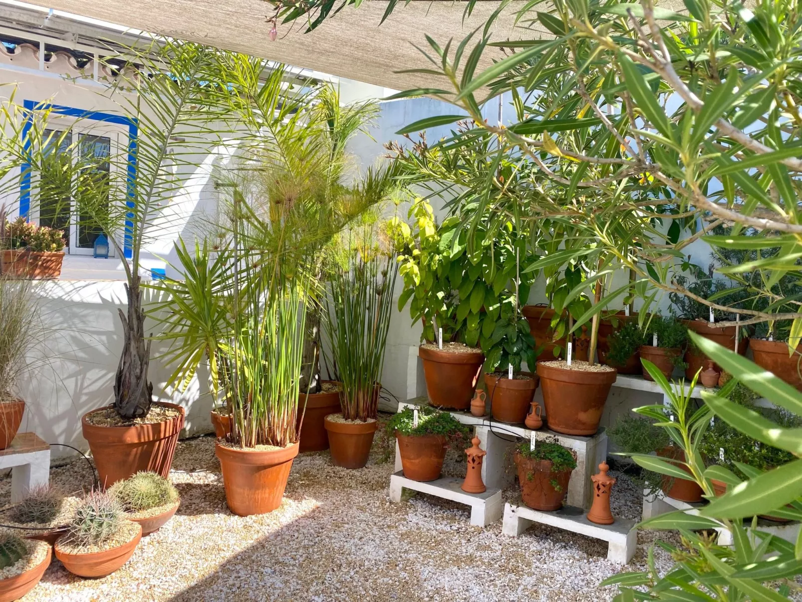 Vila Verão Nur für Erwachsene-Buiten