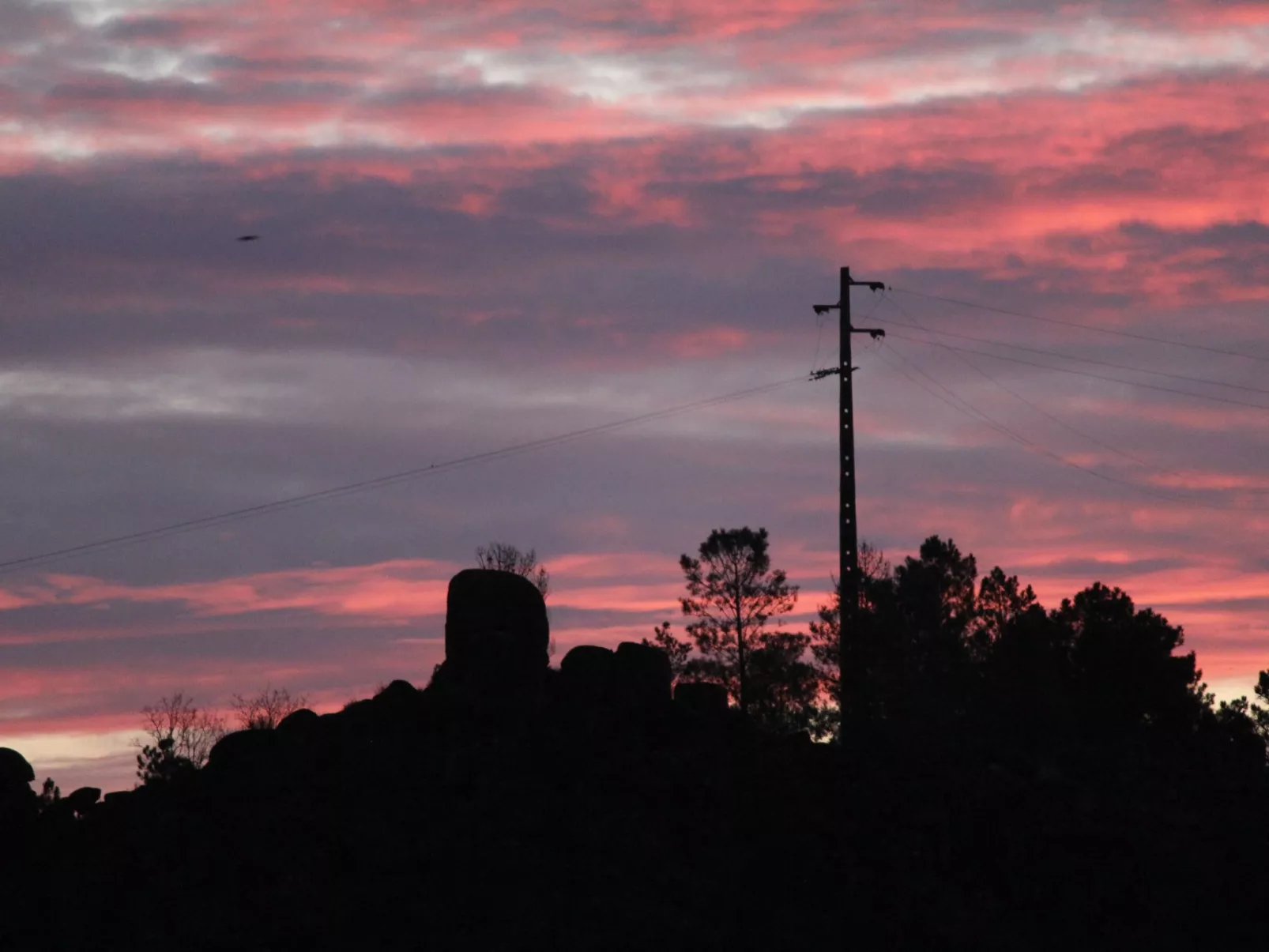 Ferien auf dem Bauernhof mit Weinberg-Buiten