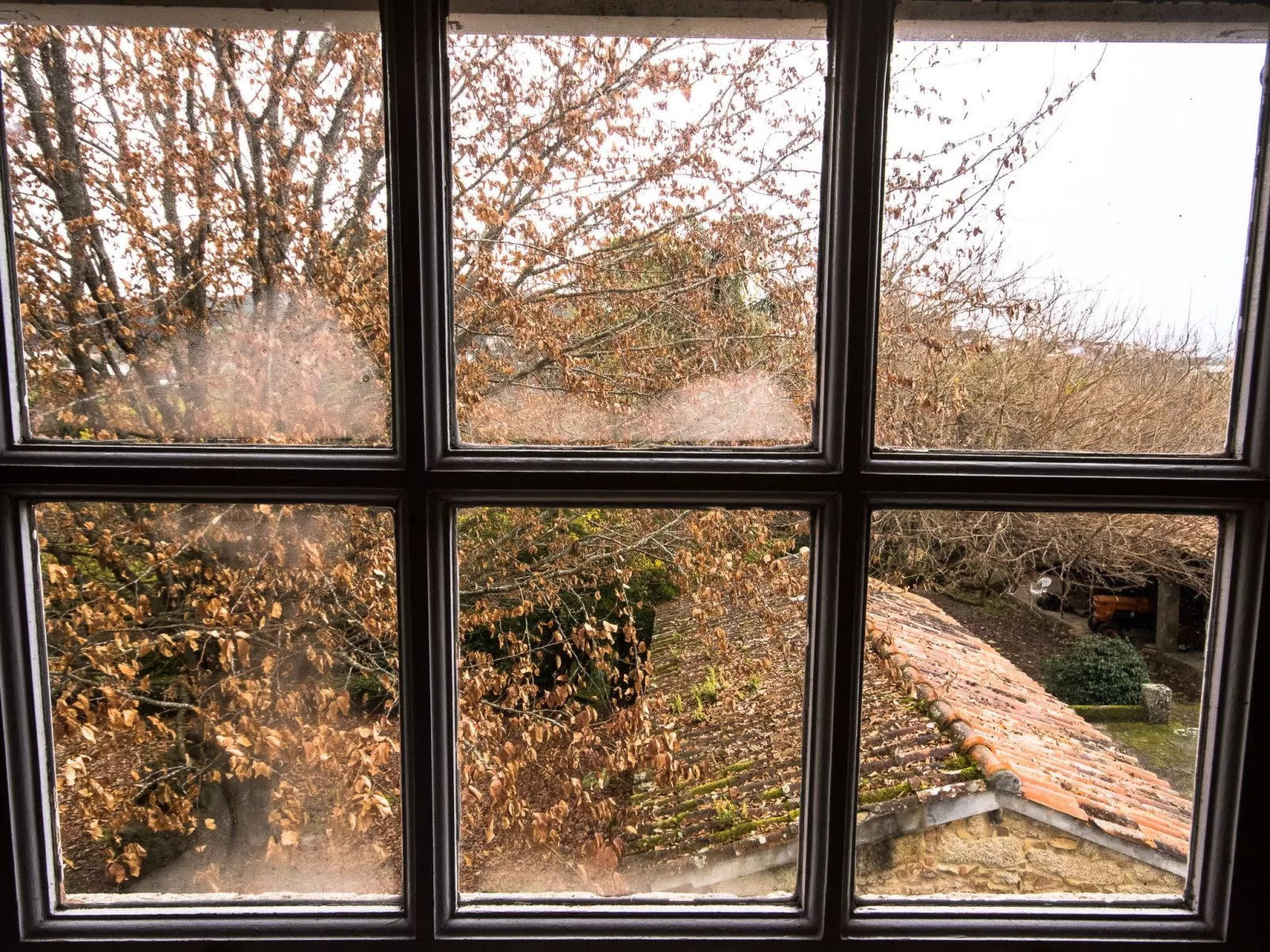 Finca "Quinta do Bento Novo"-Buiten