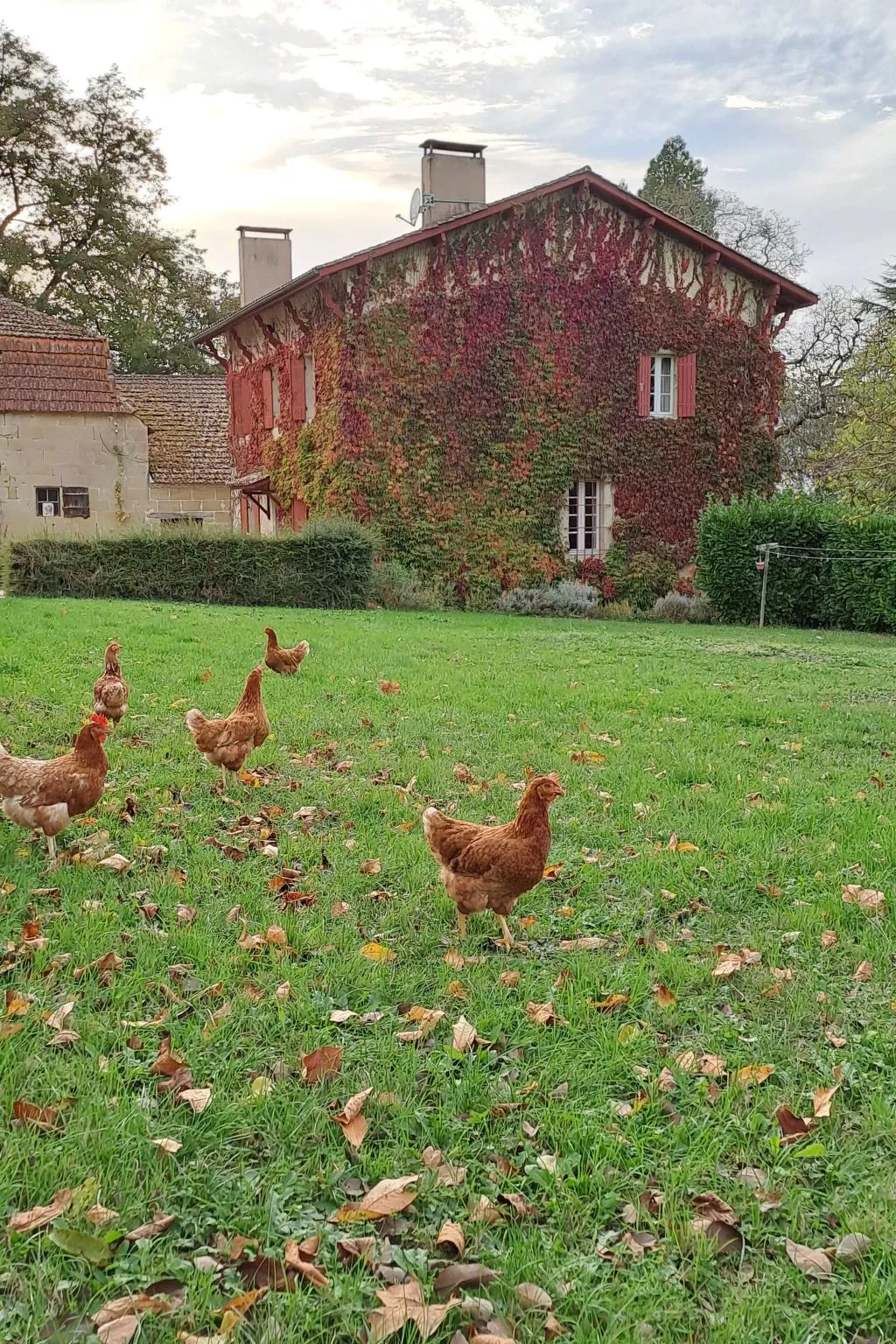 Der Pavillon - im Park des Schlosses Lescaut-Buiten