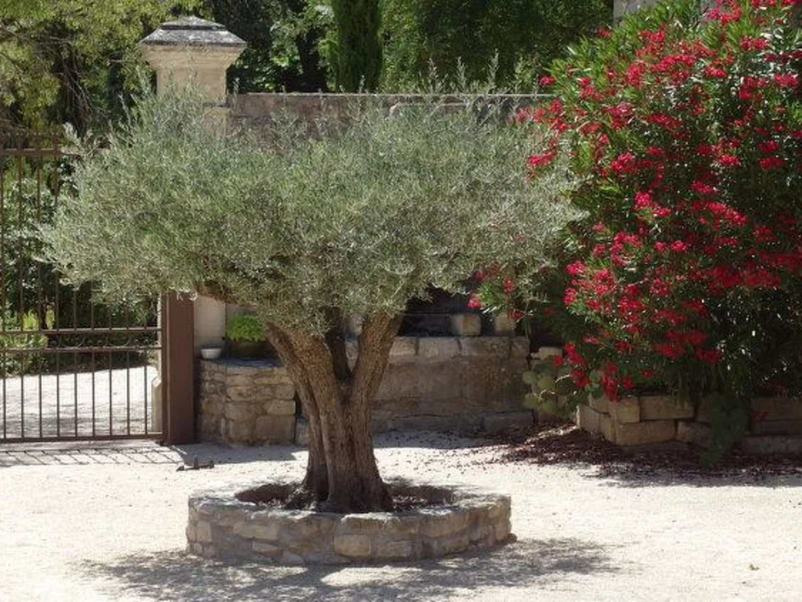 Domaine "Suite Margot" mit Infinity-Pool-Buiten