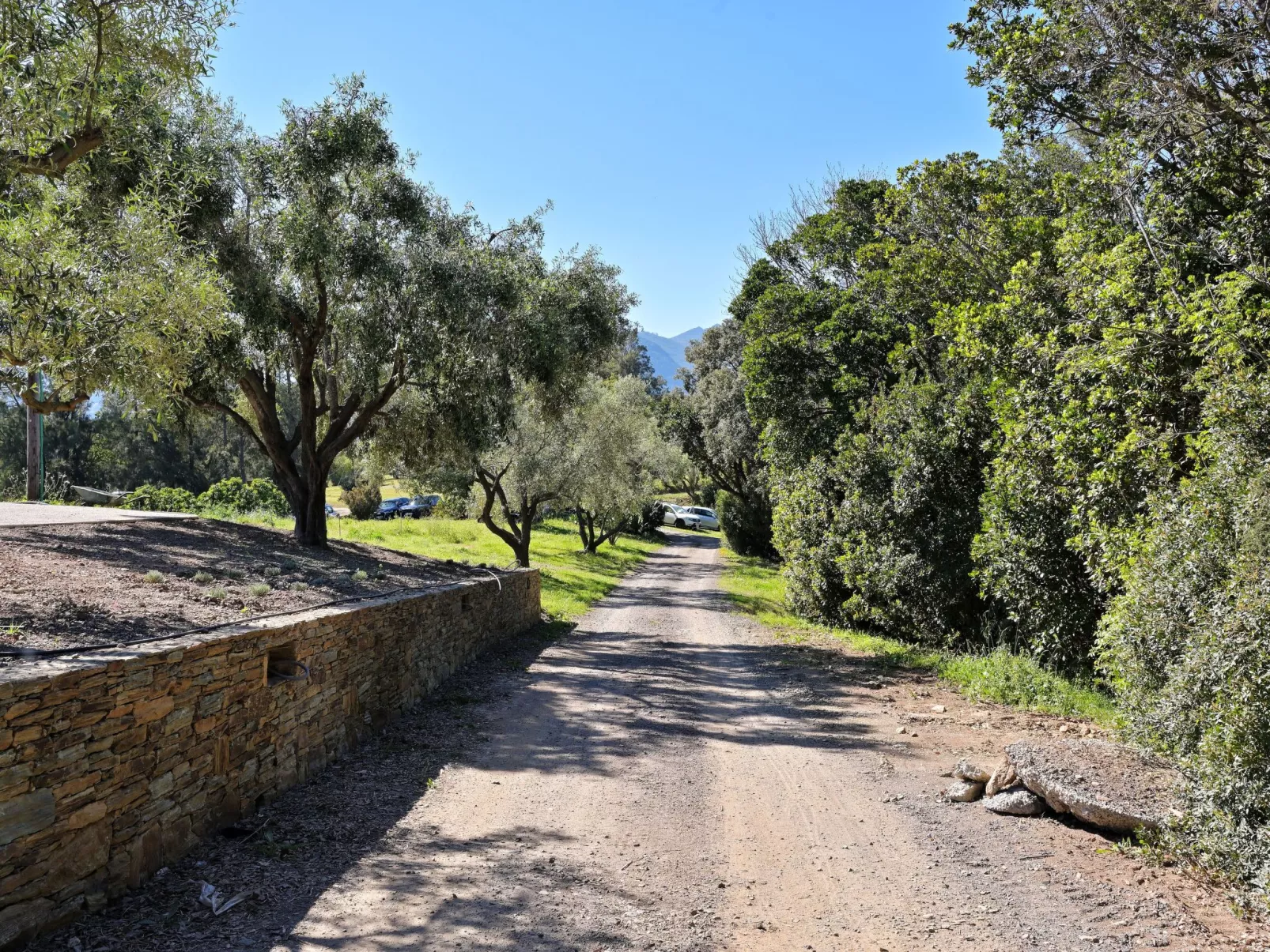 Domaine Punta della Guardia Maison A Figa mit Blick auf das Meer-Buiten
