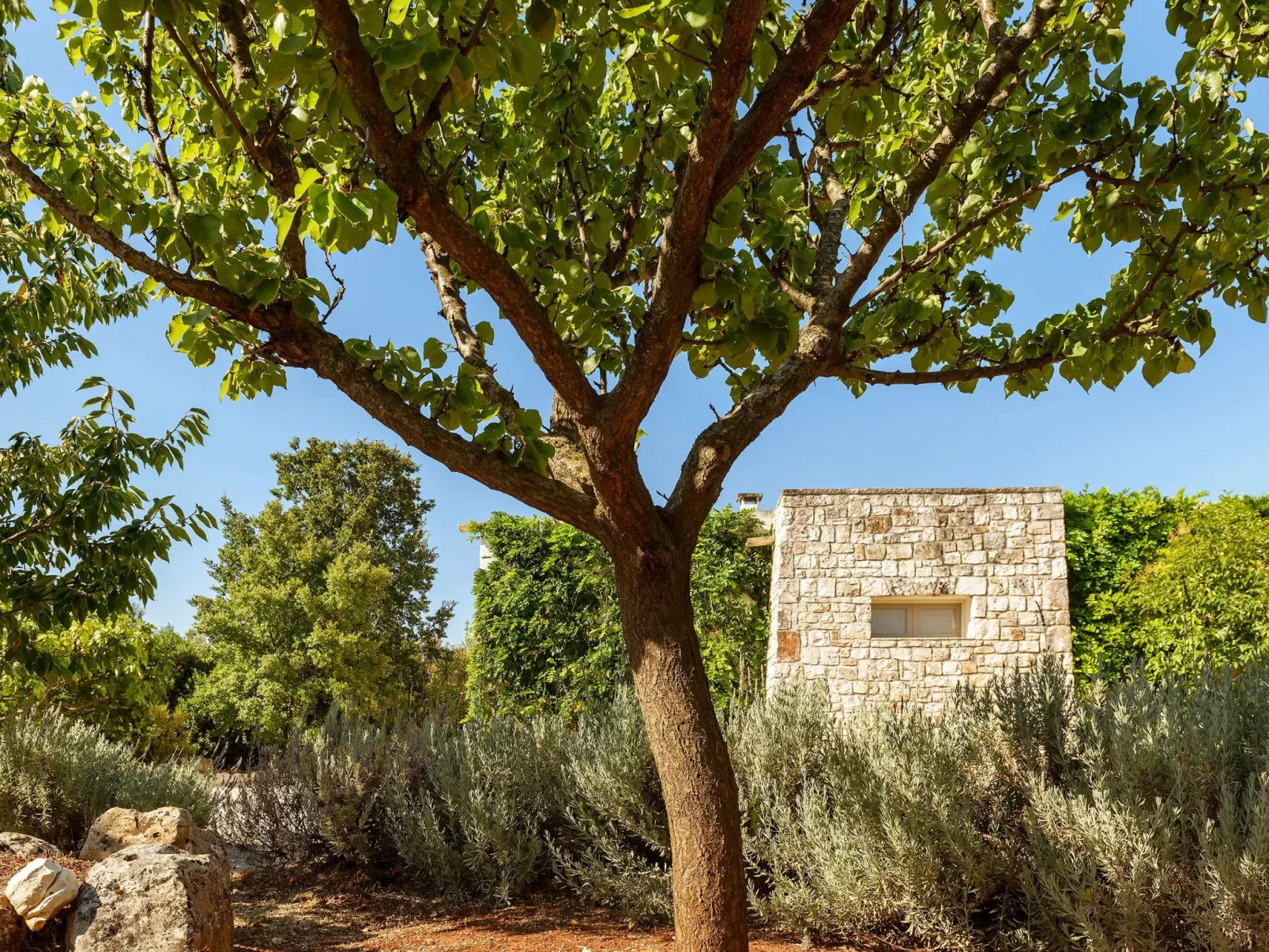 In Ostuni mit Privatem Pool-Buiten