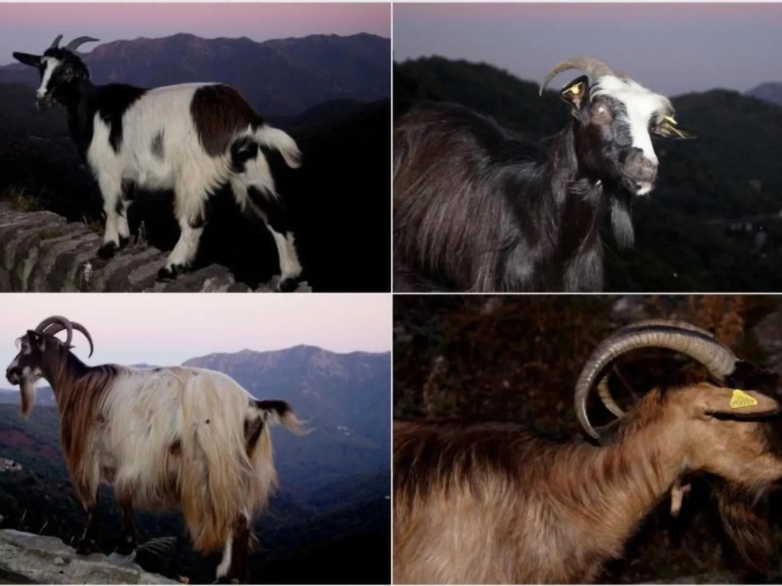 Wohnung mit allem Komfort Strand zu Fuß-Image-tags.info