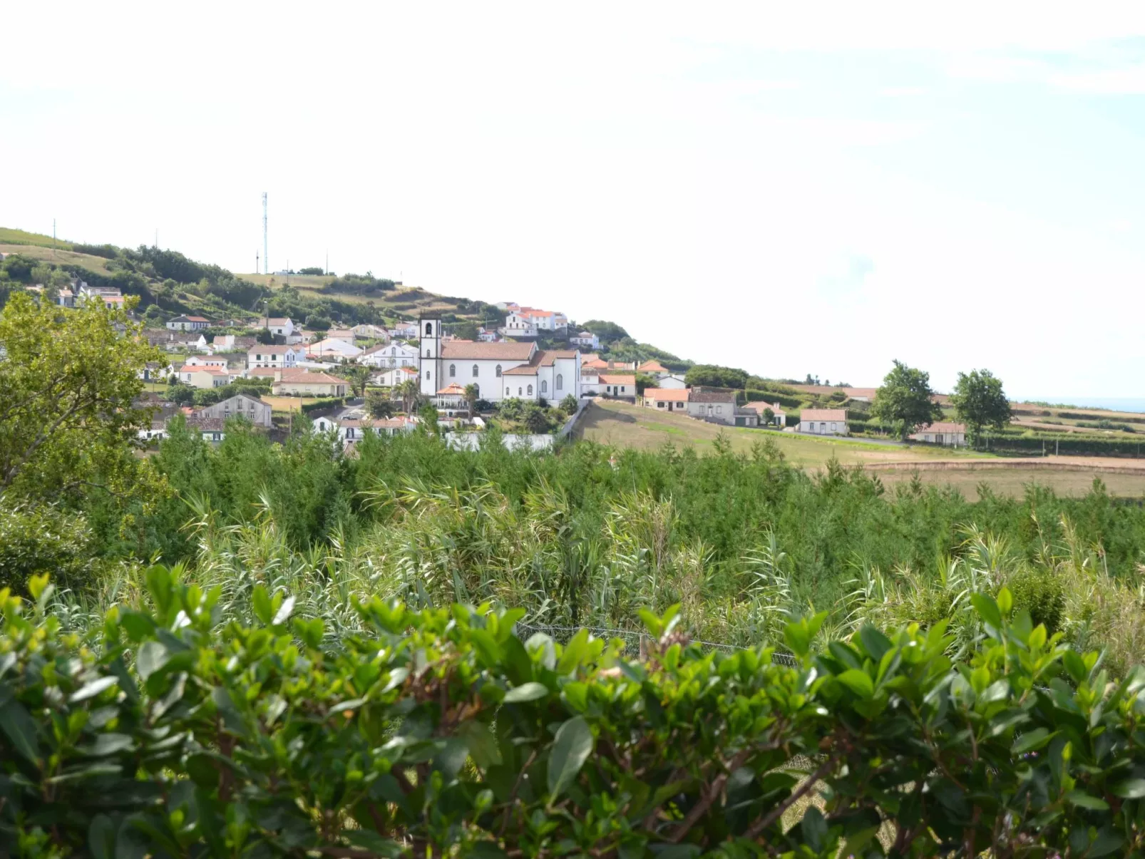 Tradicampo-Casa do Tanque-Image-tags.info