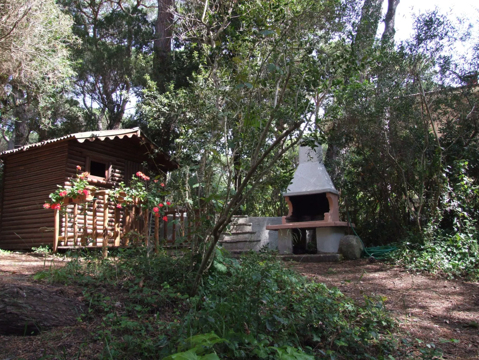 'Azalea' mit Terrasse-Buiten