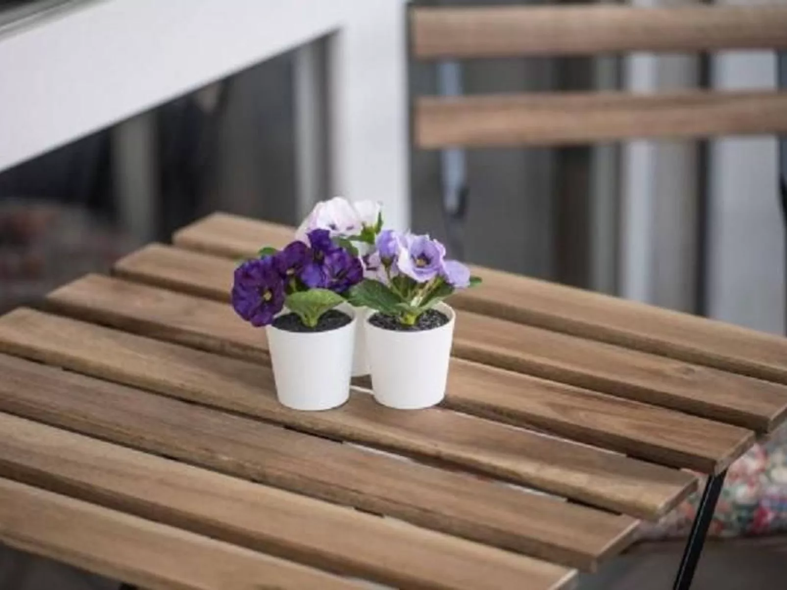 Elegante Penthouse-Wohnung mit Seeblick-Binnen