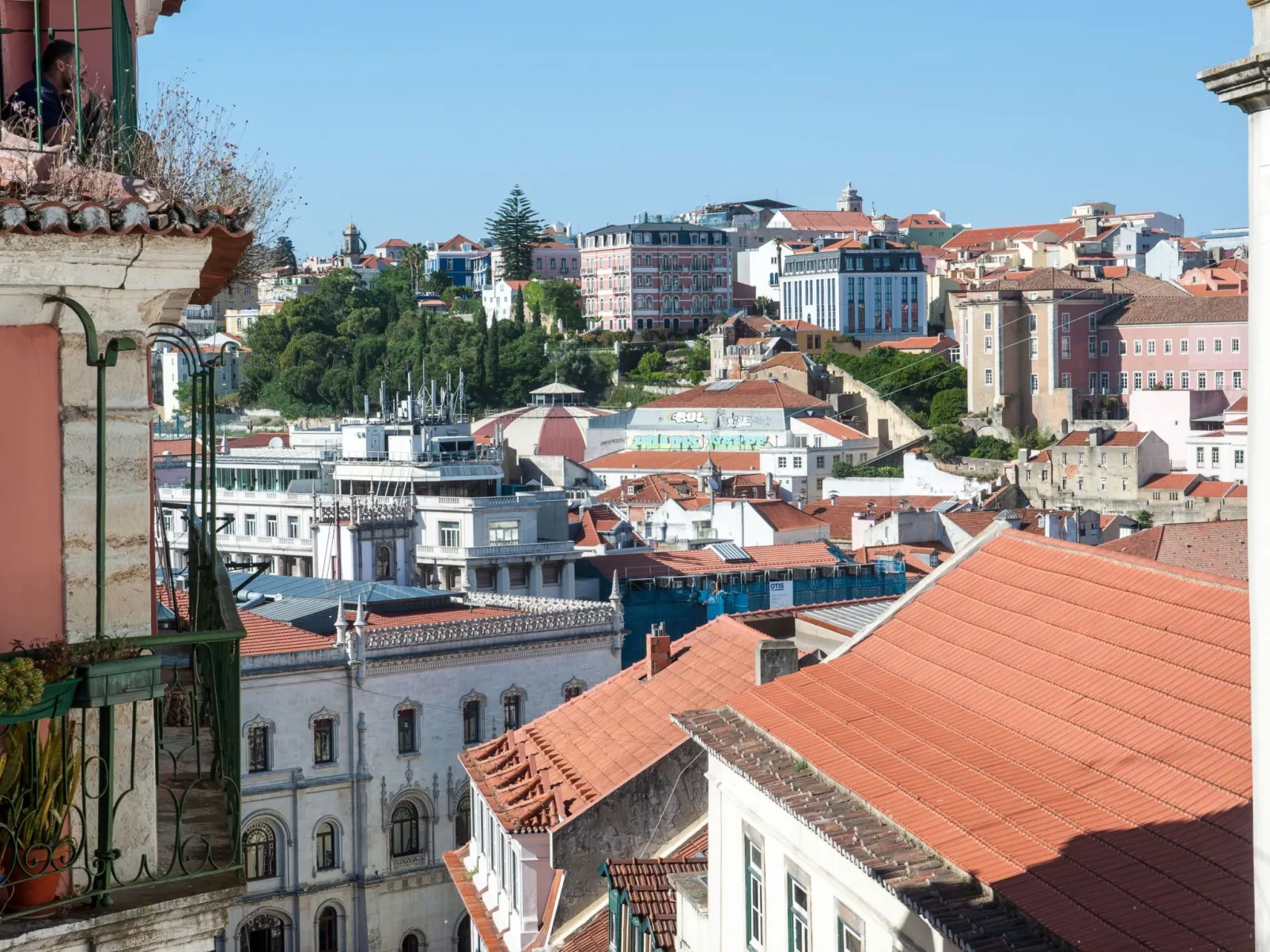 Duke-Image-tags.info