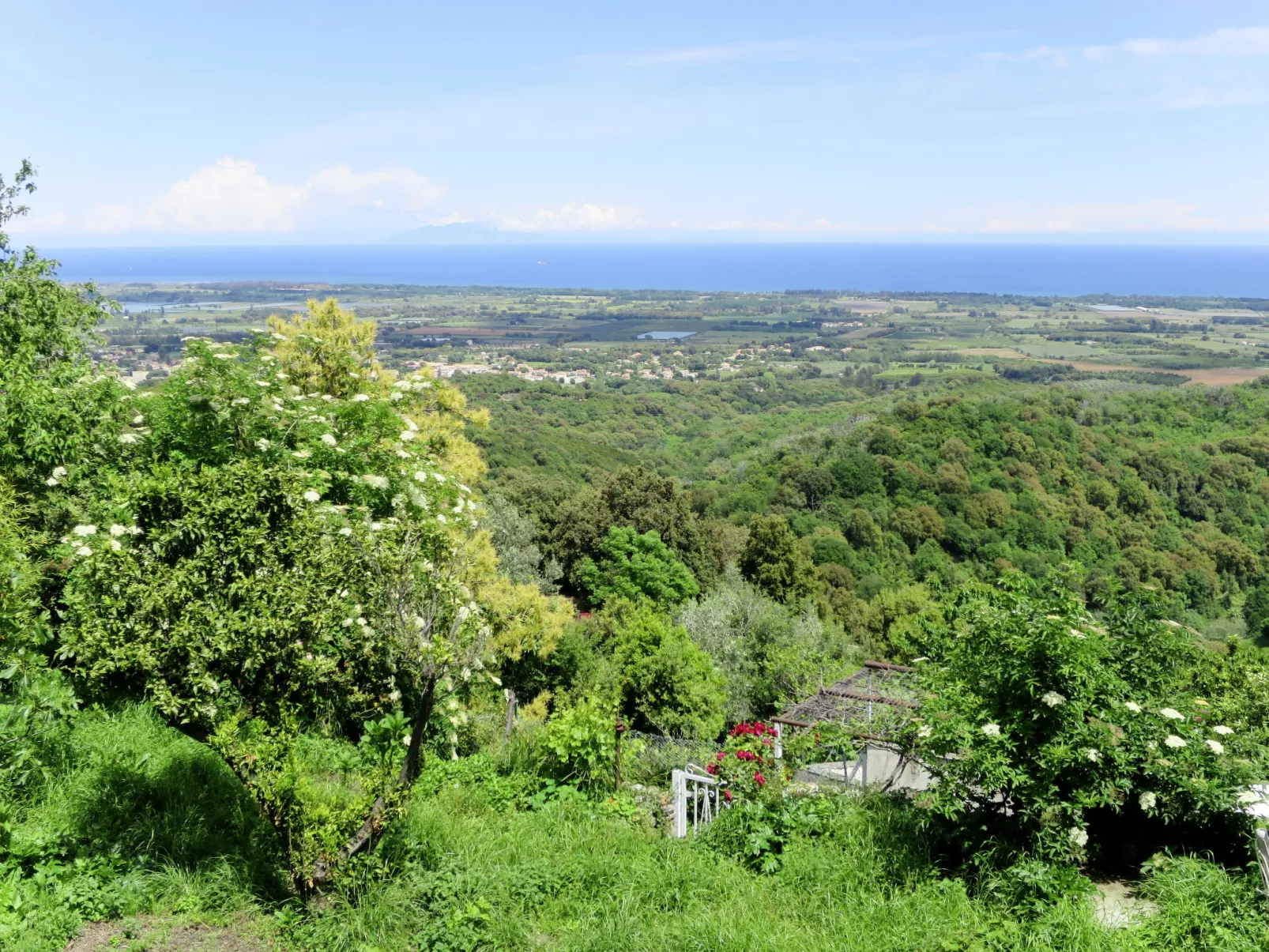 Villa mit Meerblick U Castagnu in geschützter Natur-Omgeving