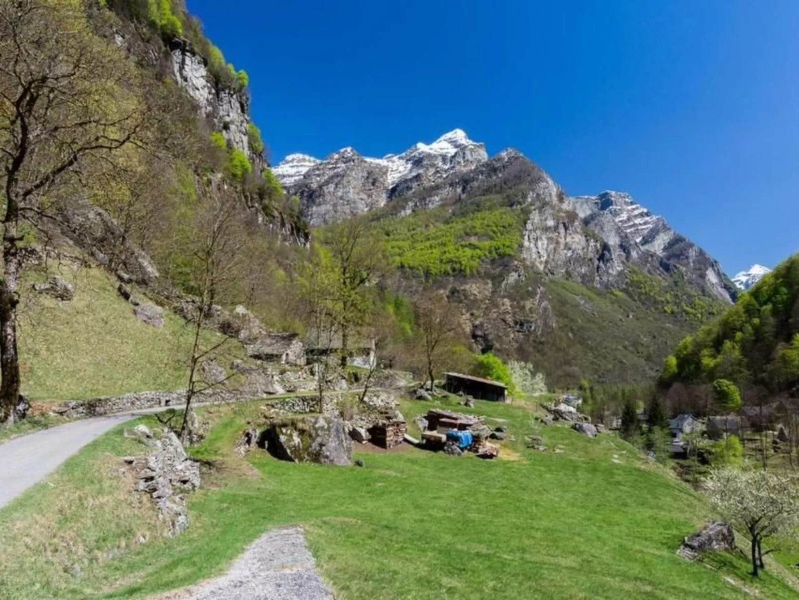 Eva-Ferienhaus-Buiten