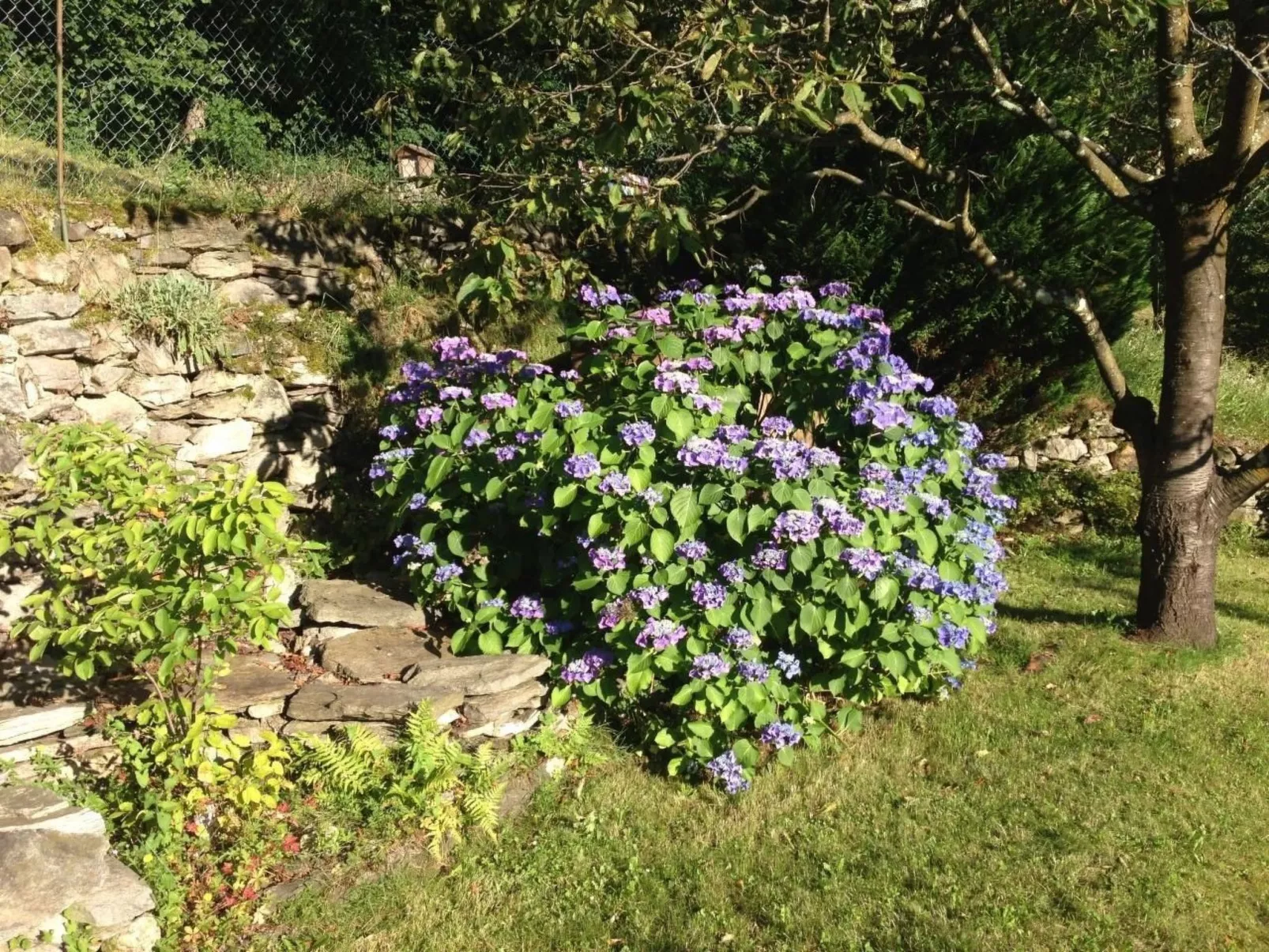 Casa Bella Vista-Buiten