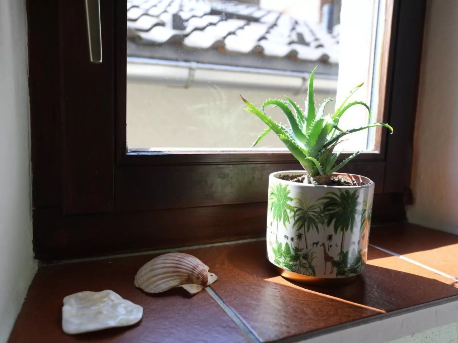 Casa Holamundo-Image-tags.info