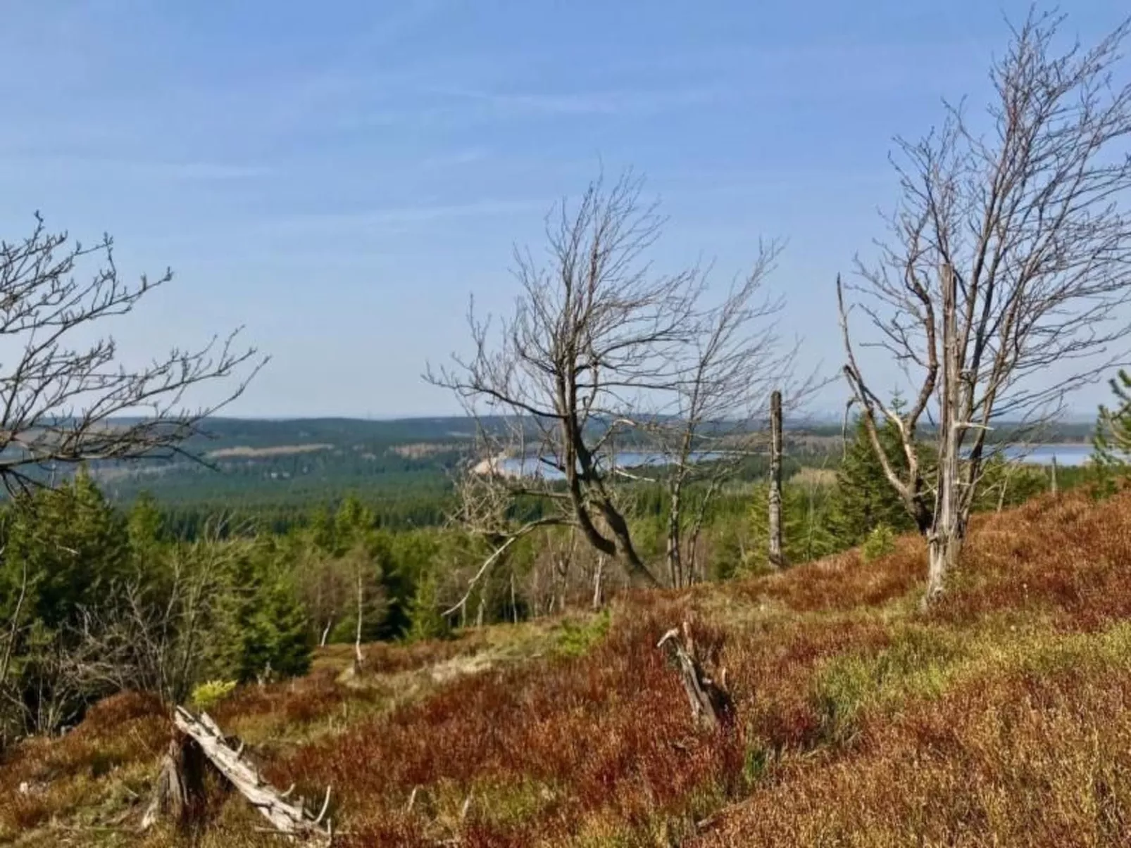 Fewo Natur und Kunst-Image-tags.info