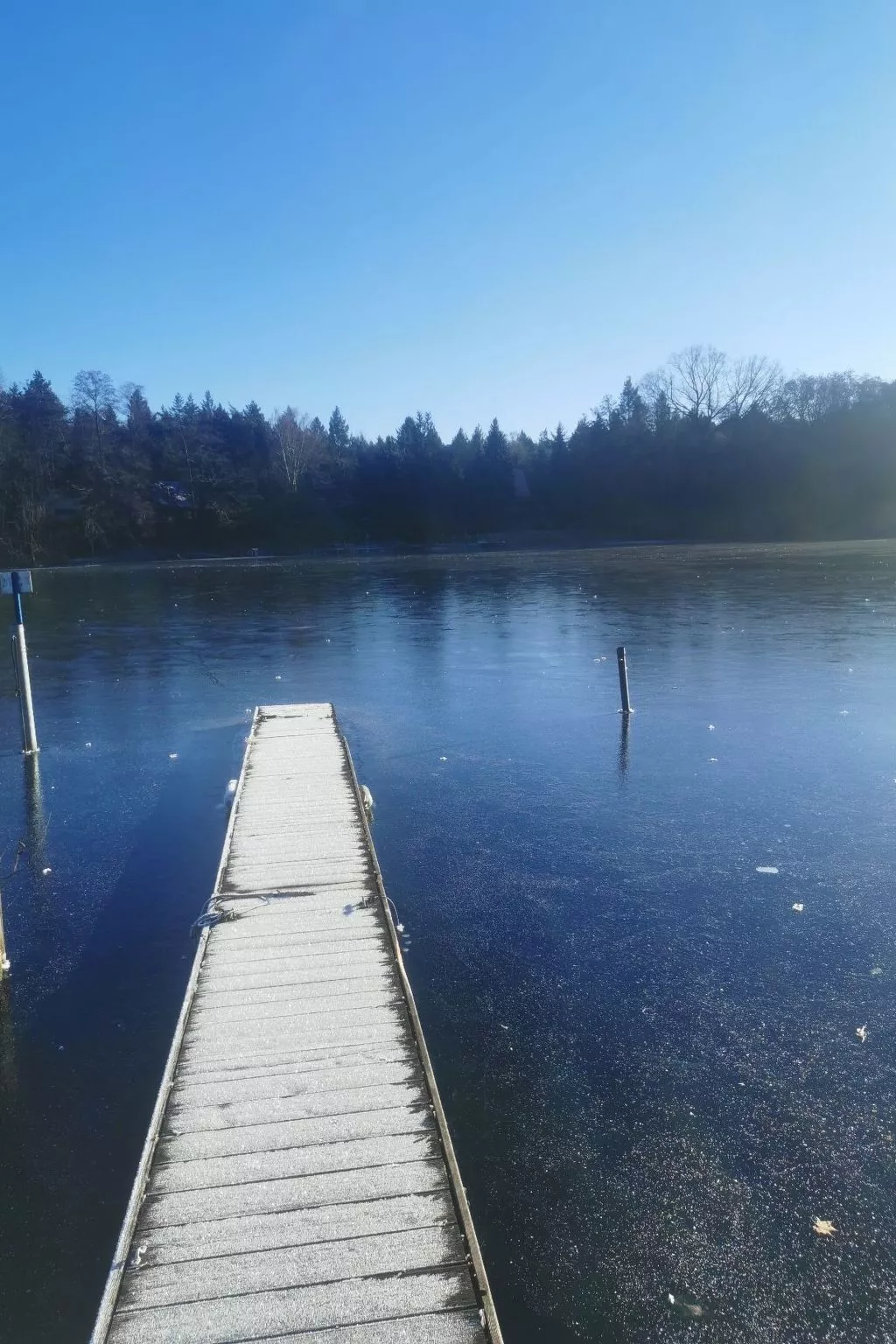 In Müggelheim mit eigener Terrasse-Buiten