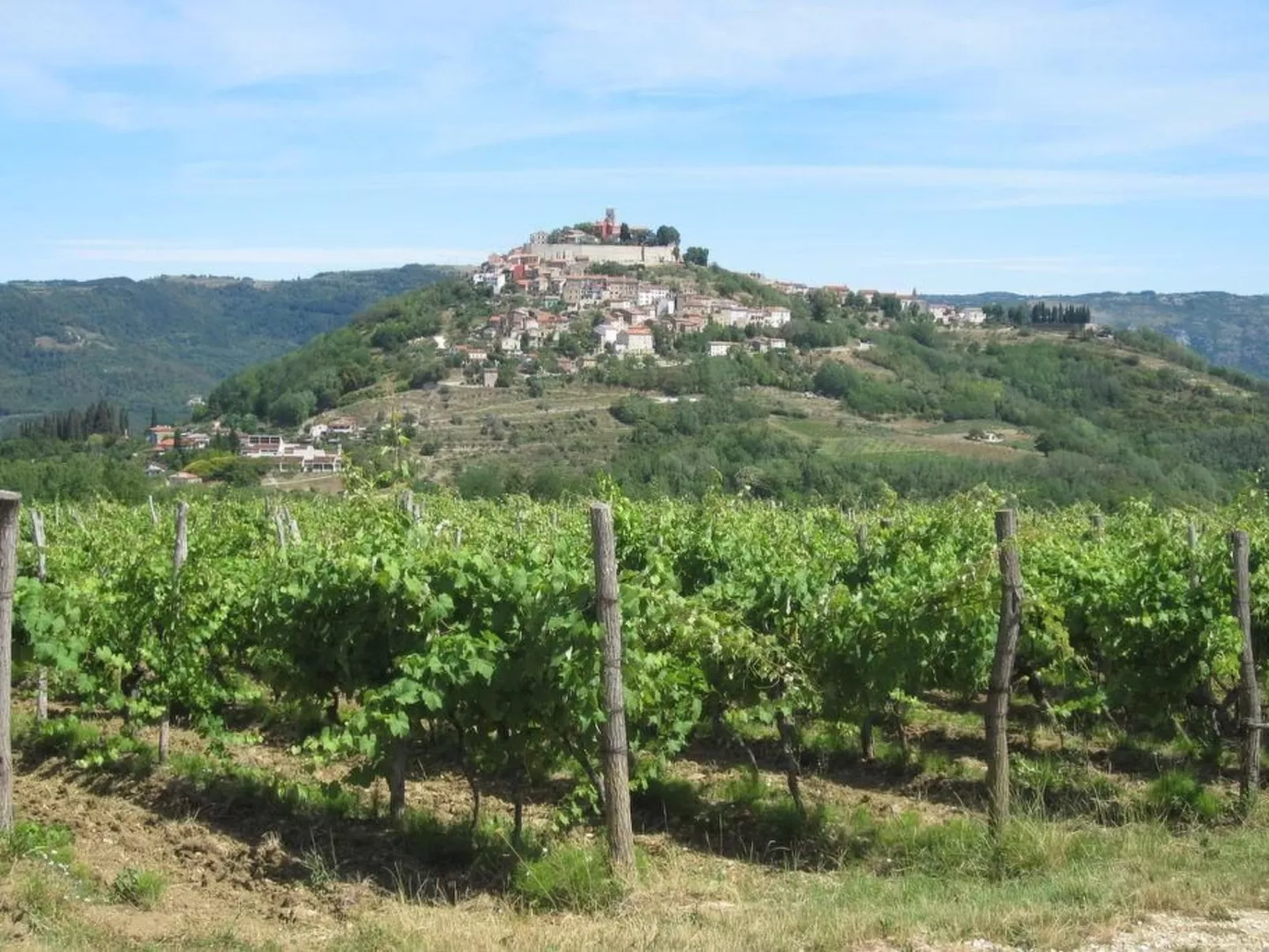 Melisa 7-Image-tags.info