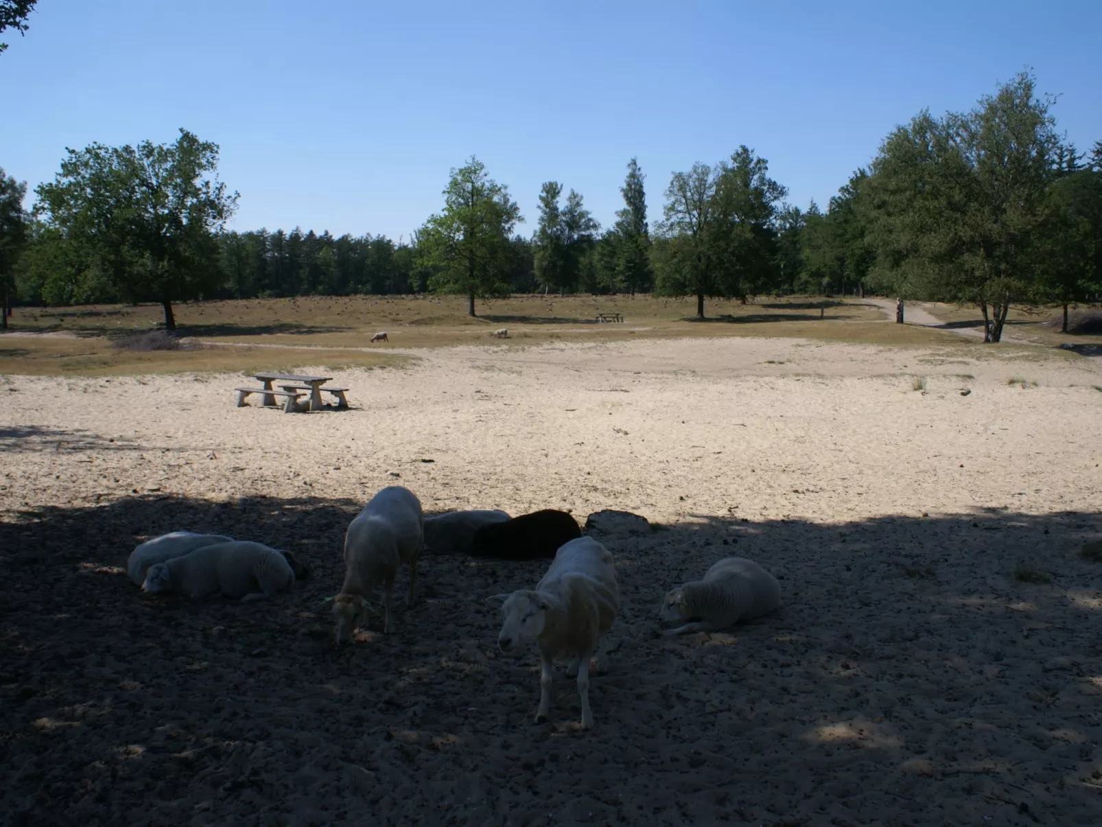 Geschmackvoll eingerichtetes Bauernhaus aus dem 19.-Buiten