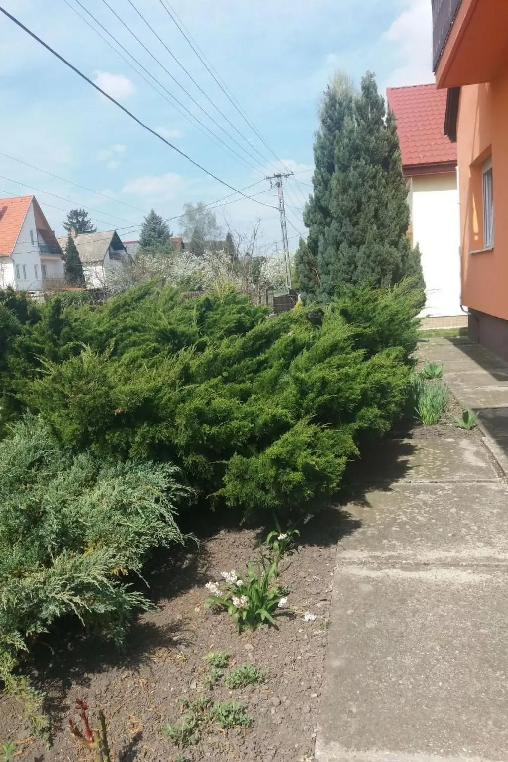 Mit Blick auf das Wasser-Buiten