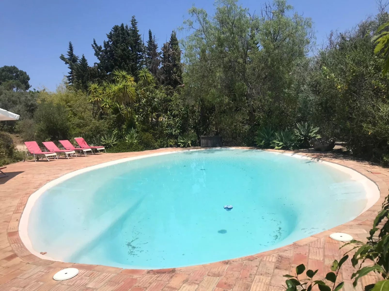 "Quinta do Sol" mit Kamin-Buiten