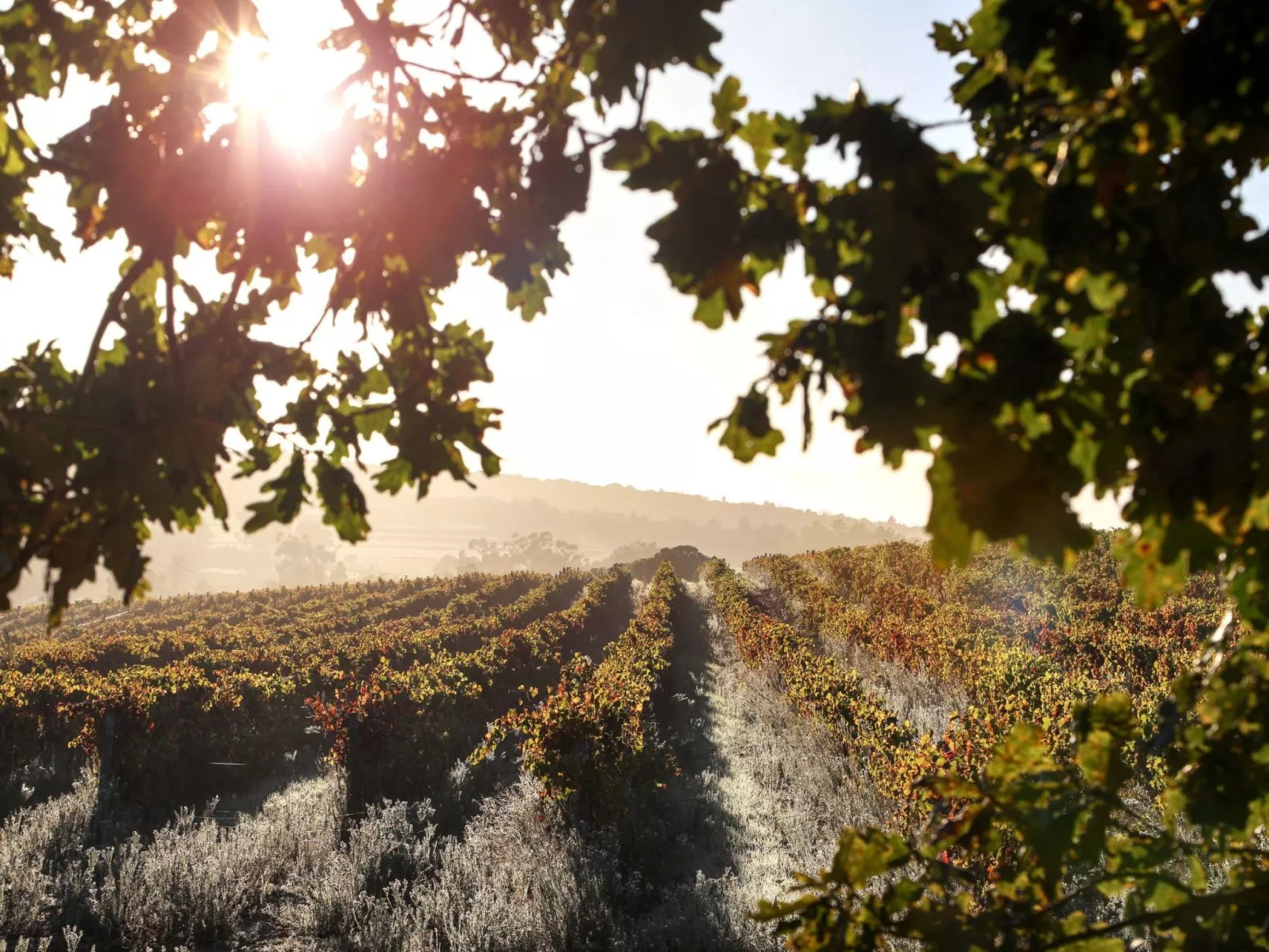 Casa Agave, Entspannung, Wellness und Natur in der Maremma - Image-tags.info