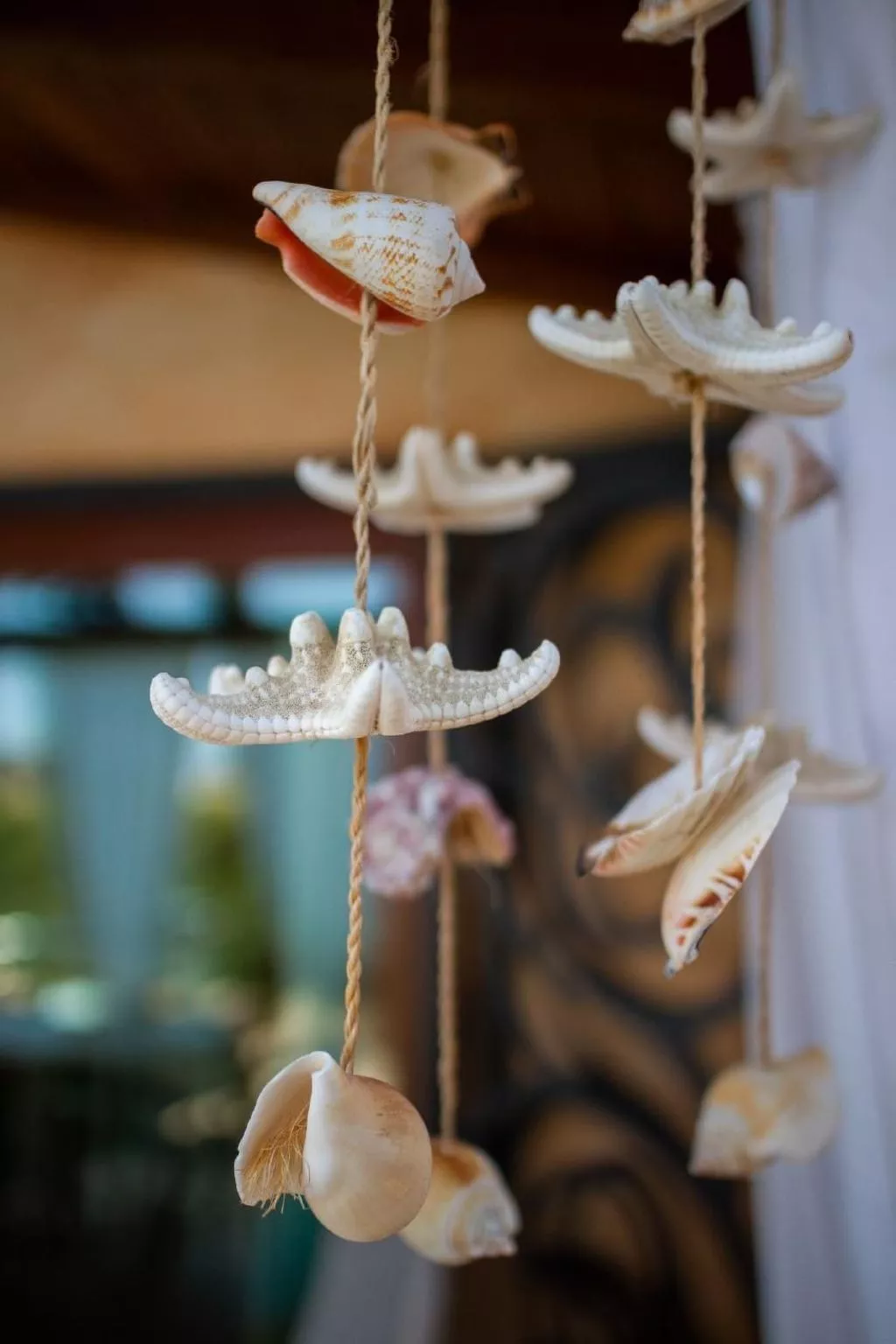 Haus in Budoni mit Schwimmbad und Privatparkplatz-Image-tags.info