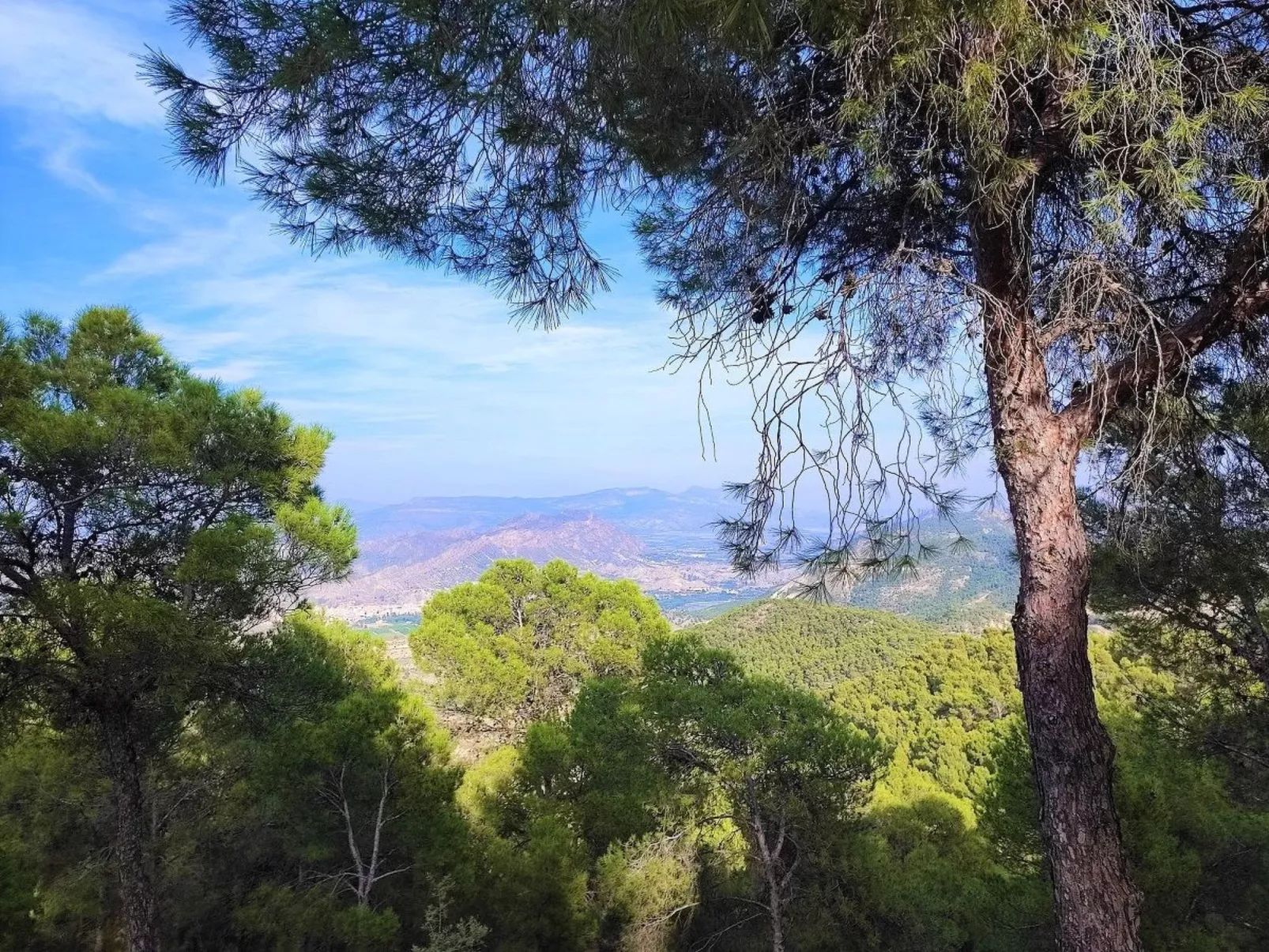 Domicilio de Vida-Image-tags.info