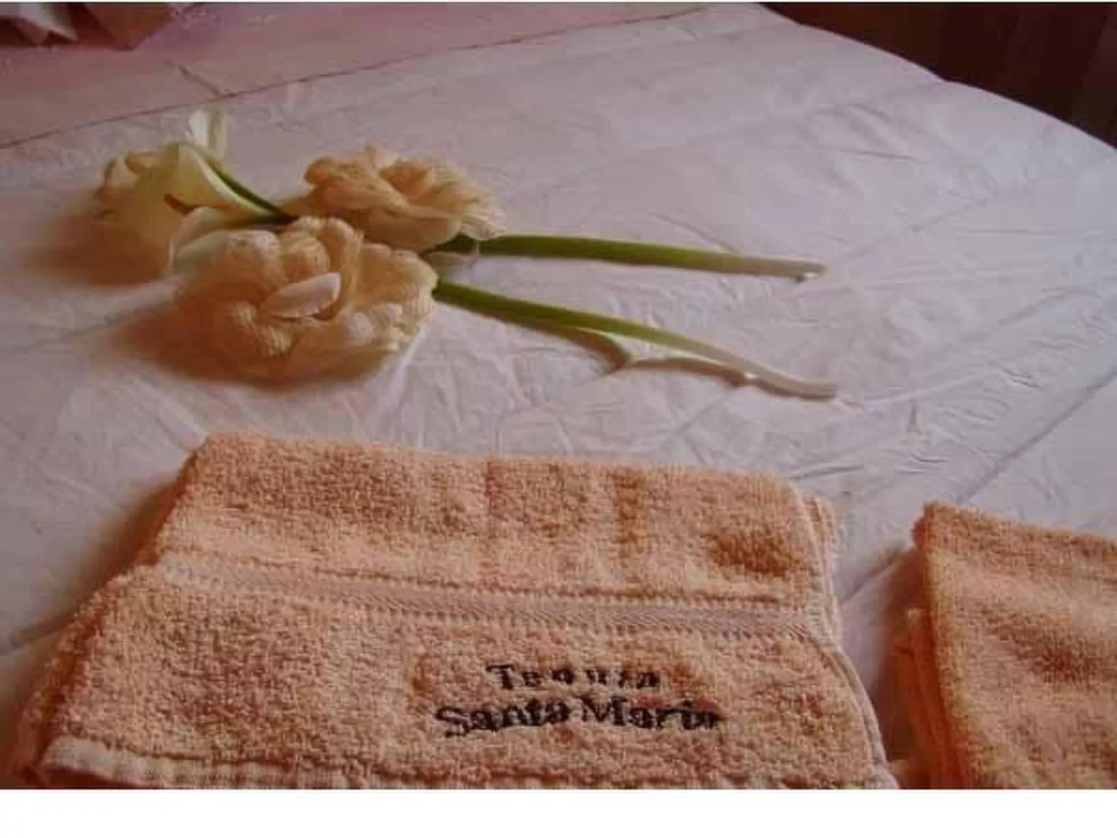 In Notaresco mit Grill und Garten-Binnen