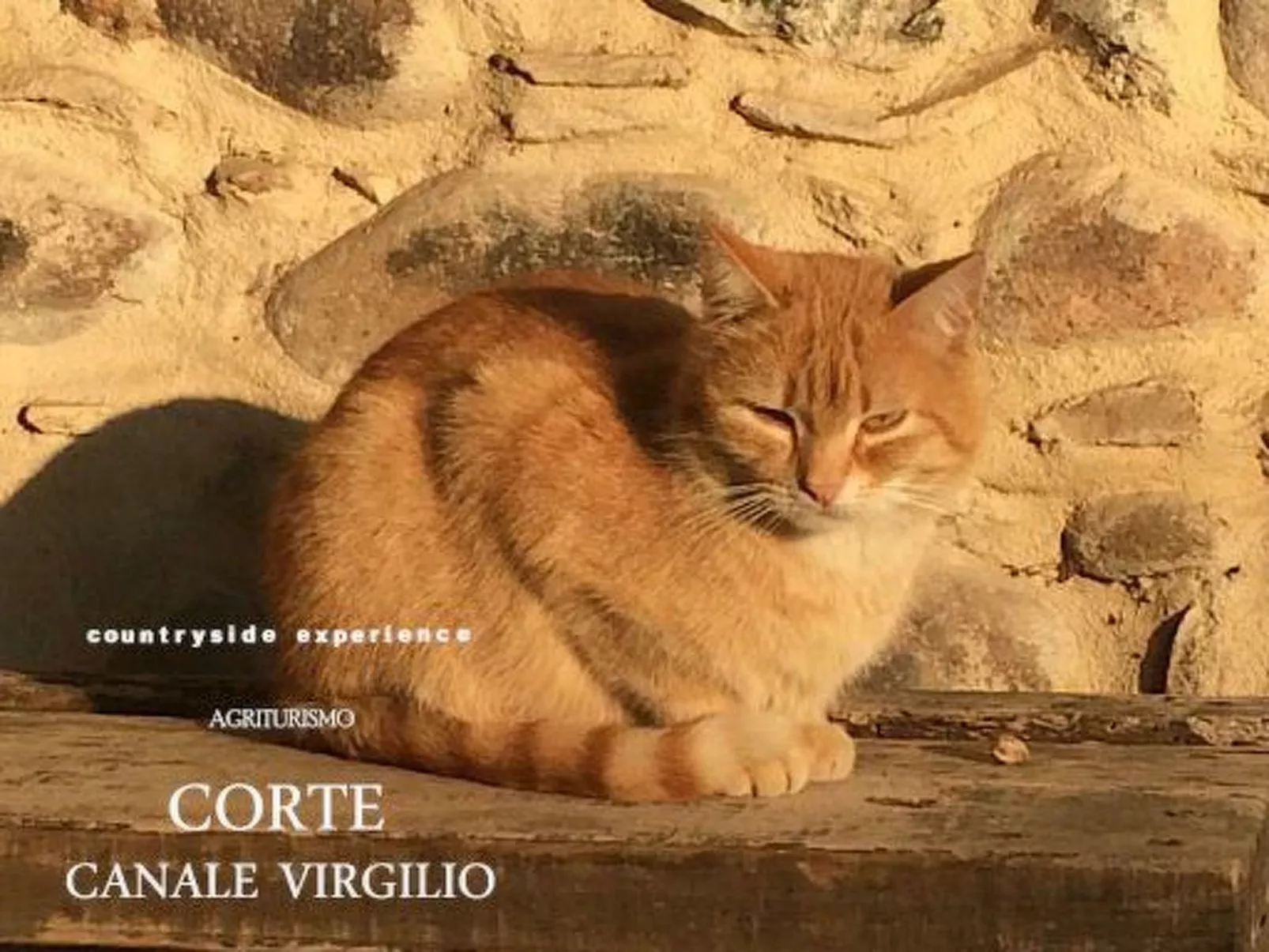 Das Landgut "Corte Canale Virgilio" mit Balkon-Buiten