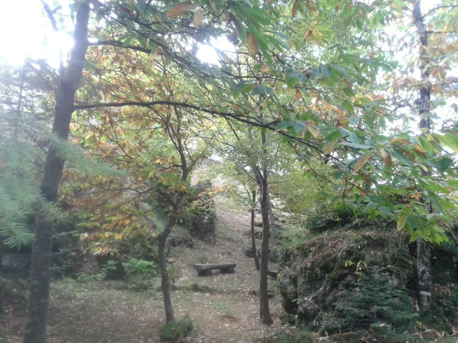 Natur und Entspannung, Villa im Park-Image-tags.info