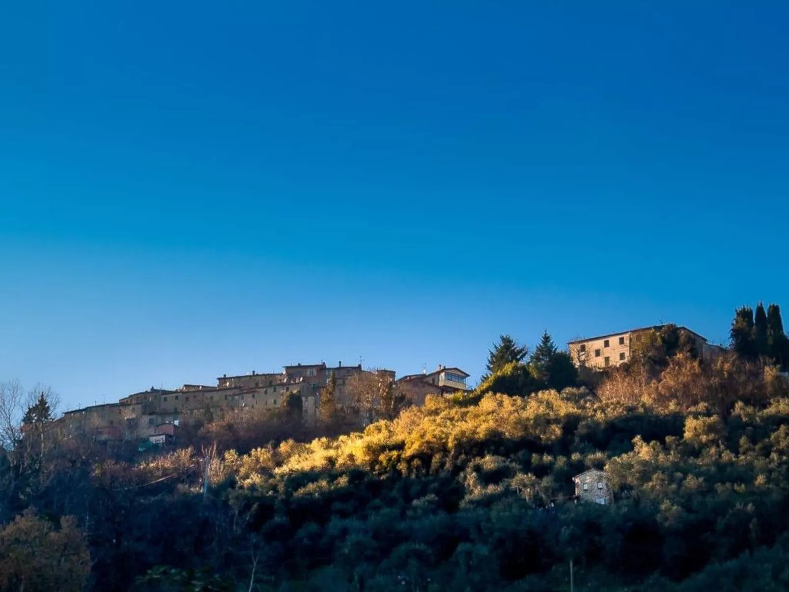 Haus inmitten der Natur mit Schwimmbad-Buiten