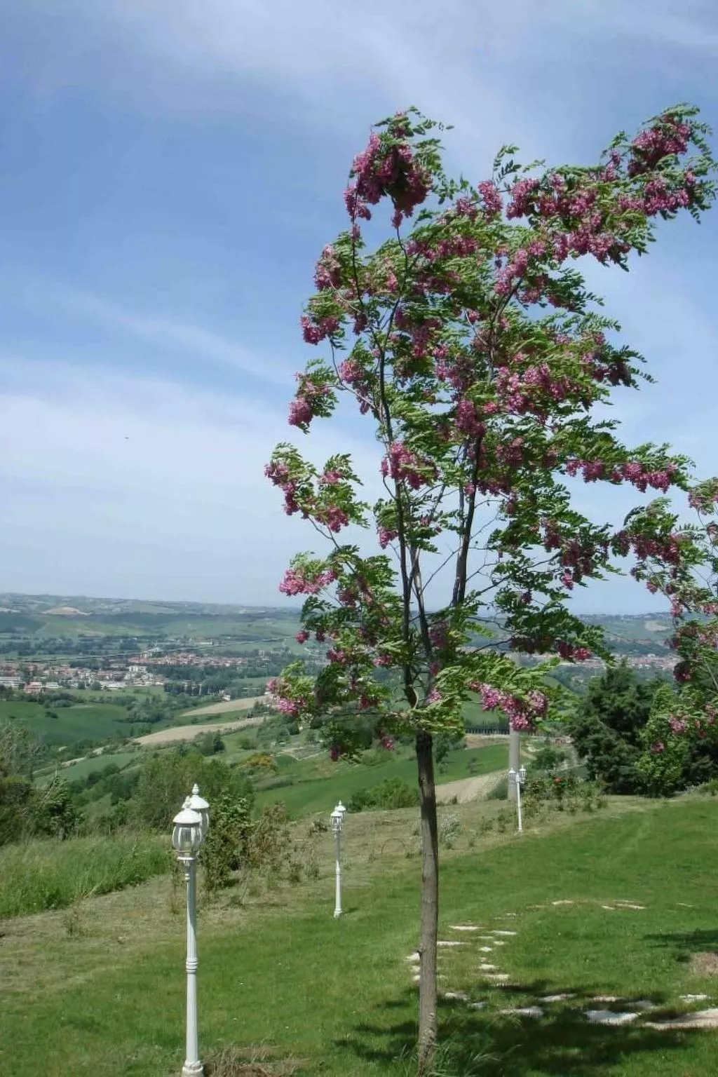 Charmante Lösung, Schwimmbad 10 Minuten vom Meer entfernt-Image-tags.info