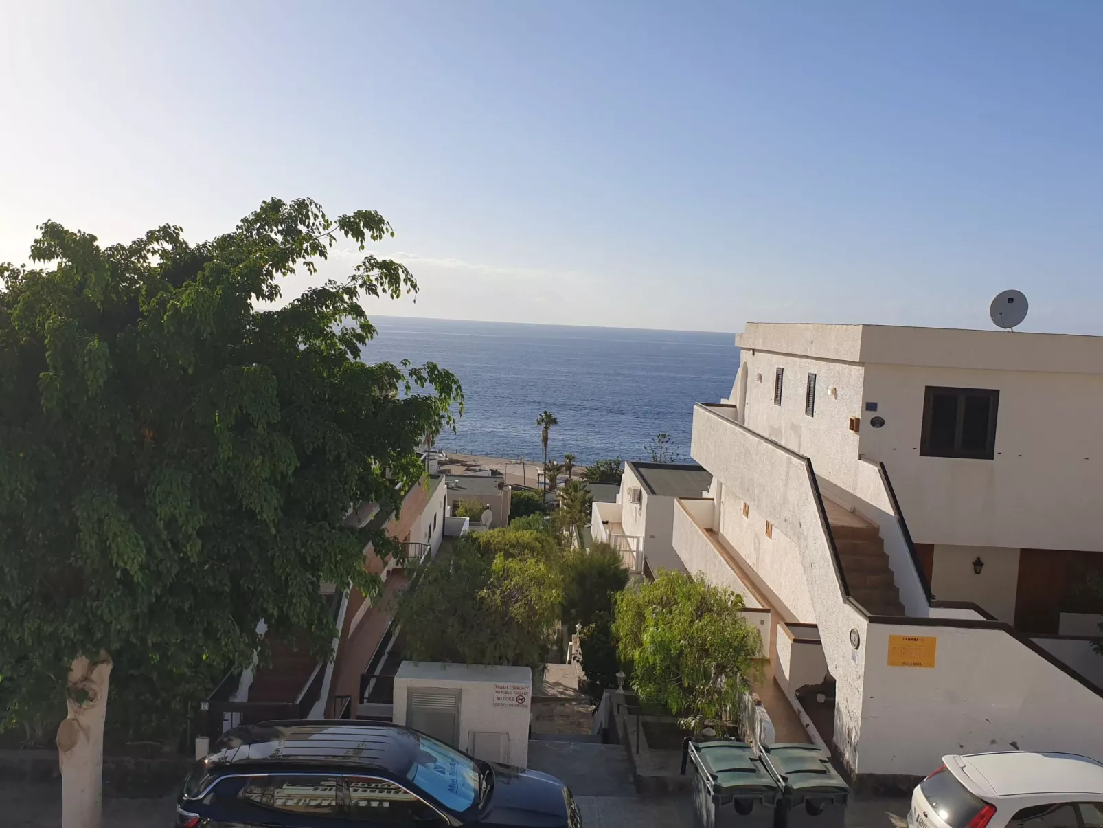 Adelfa-Image-tags.info