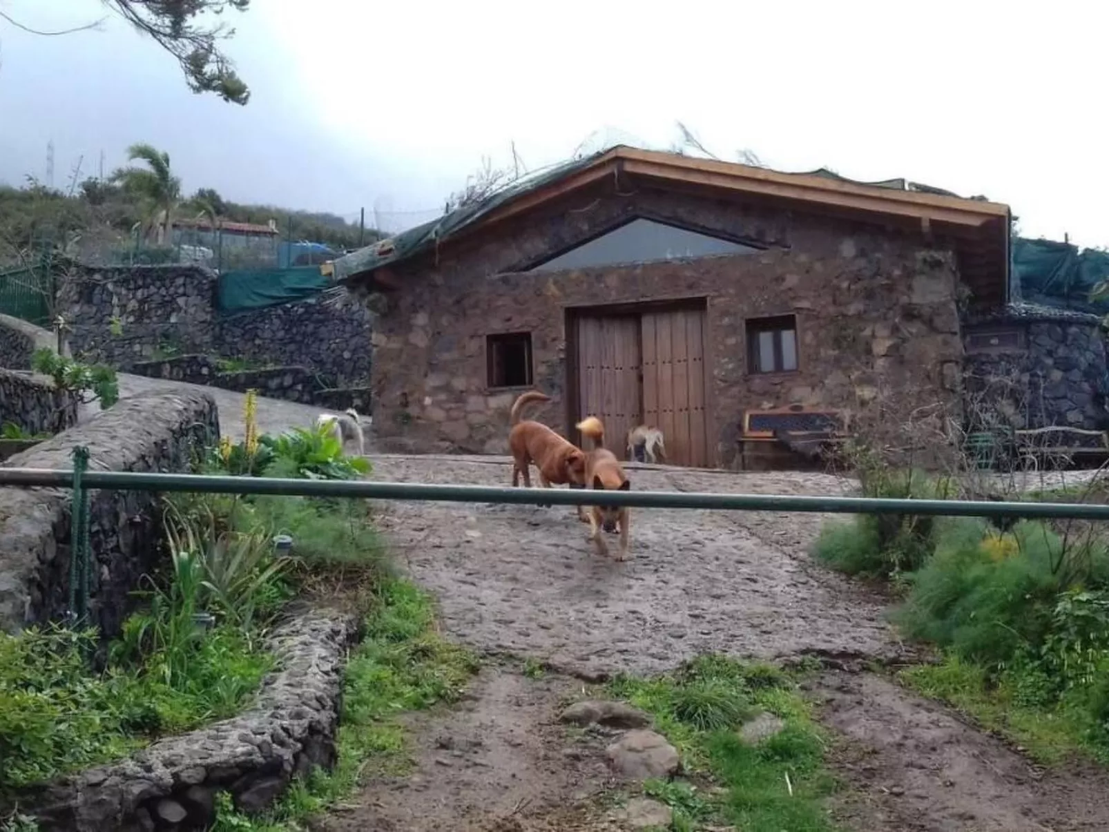 Finca "Sunny Scape Rural-Image-tags.info