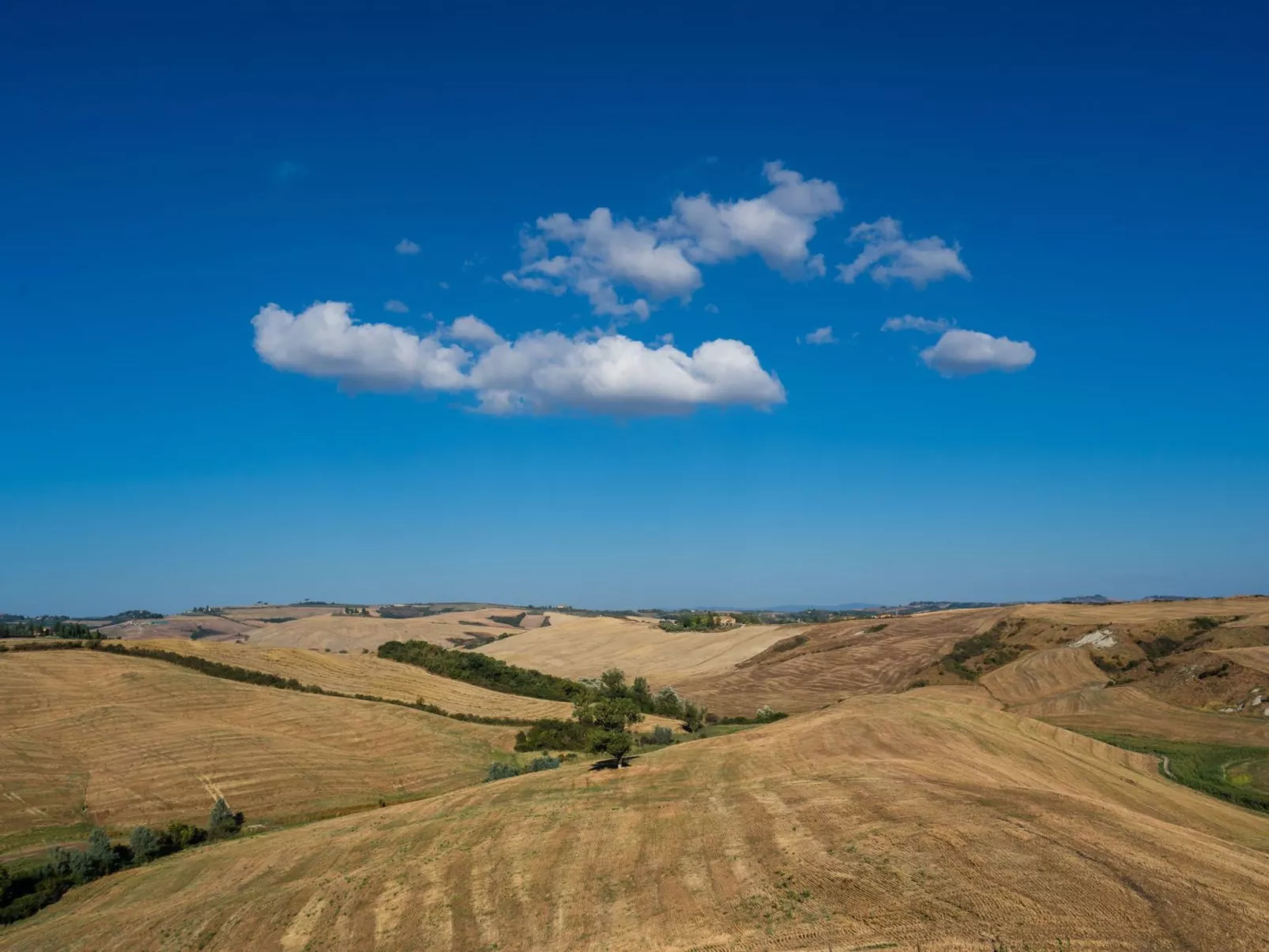 Haus Fiordaliso - Podere Fossaccio-Buiten