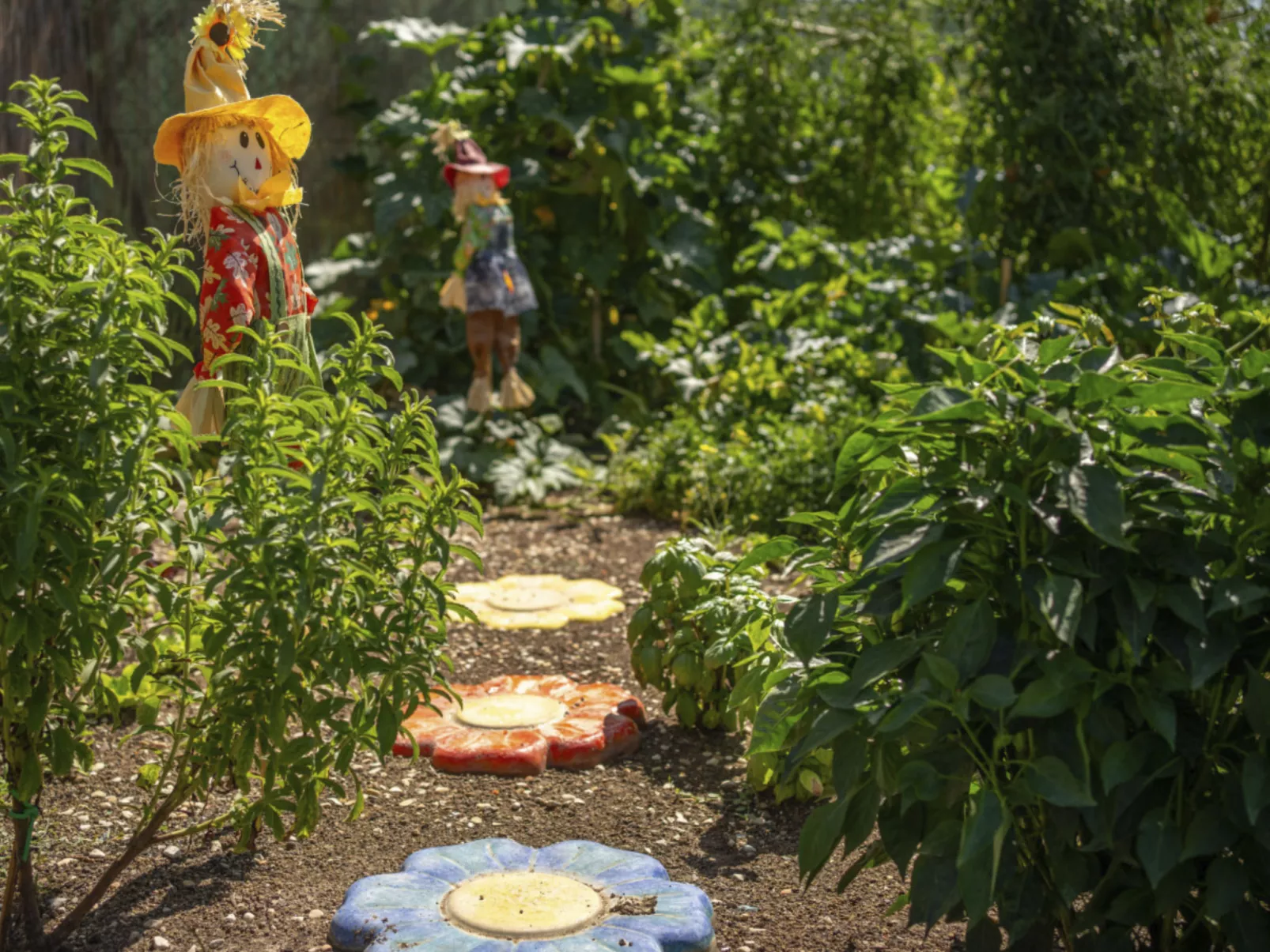 'Hortus la azurra'-Buiten