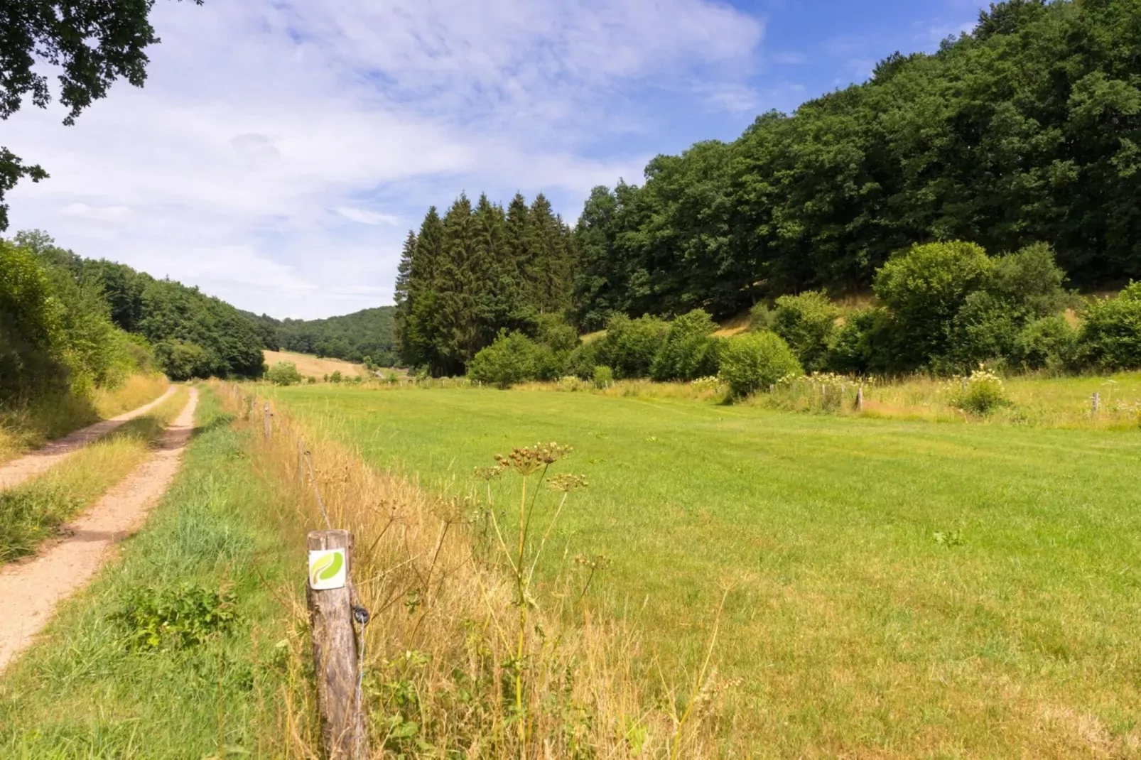 Bungalow Luxus Typ B Campingpark Eifel-Gebieden zomer 1km
