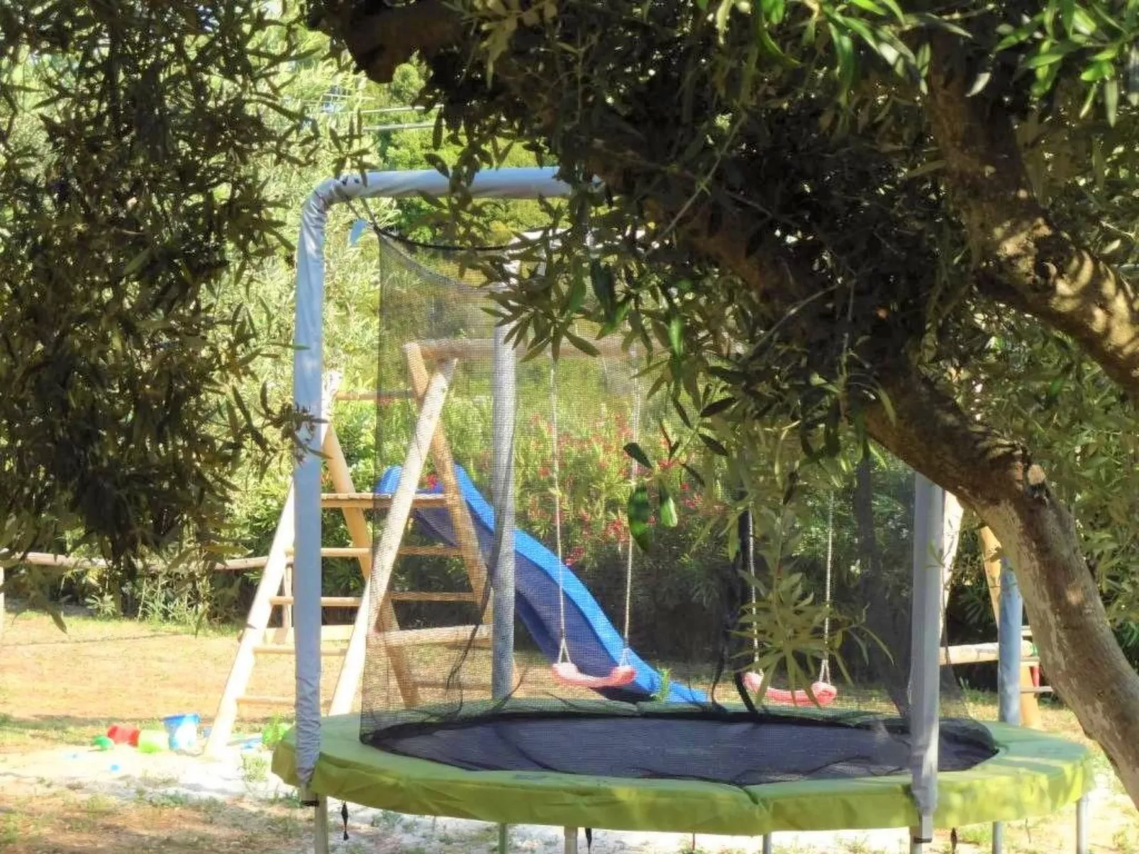 Agnese-Image-tags.info