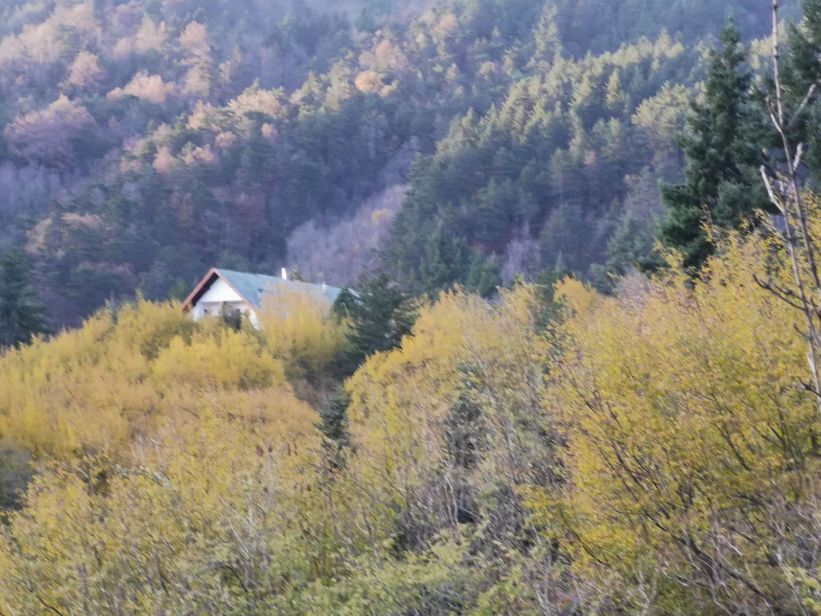 Chalet 'Perle des Höhenweges'-Image-tags.info