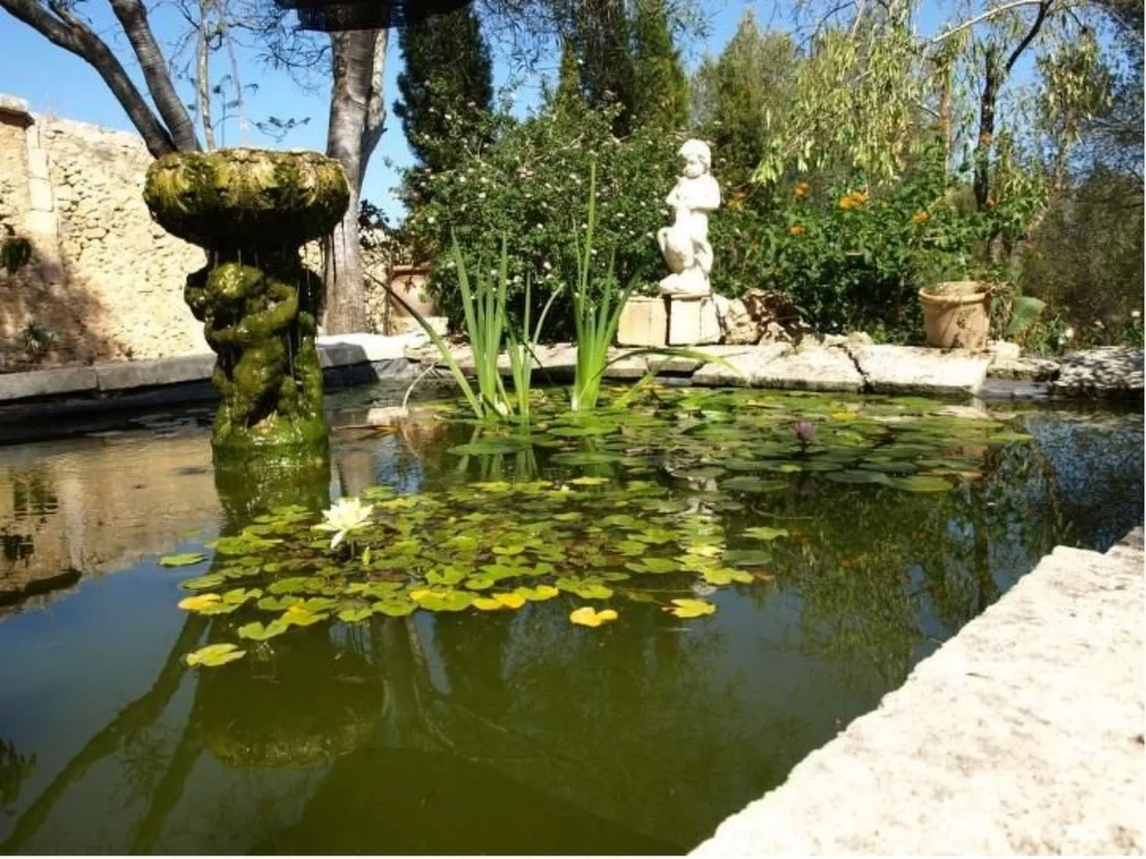 Finca "Mallorca Muro" mit Garten und Grill-Image-tags.info