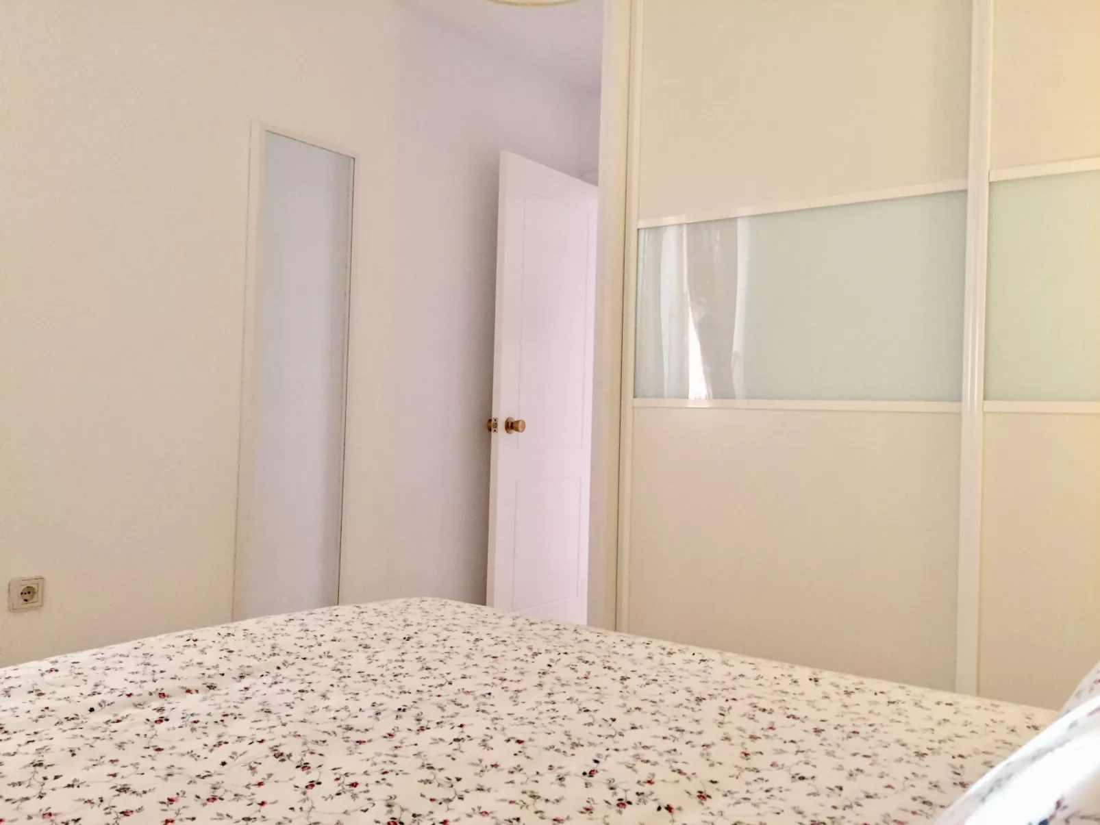 Tajinaste SOL-Binnen