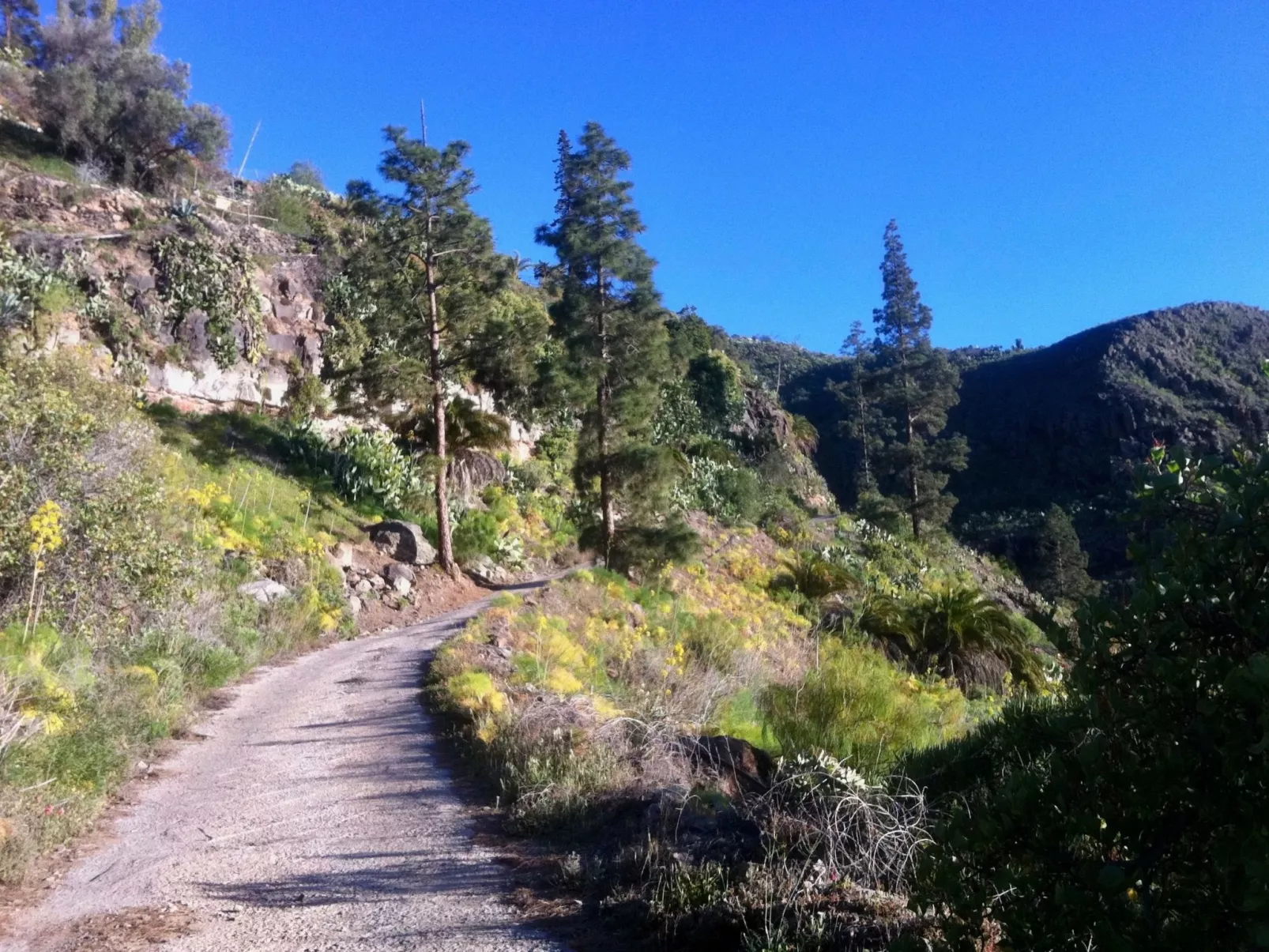 Wohnung mit Blick auf das Wasser-Buiten