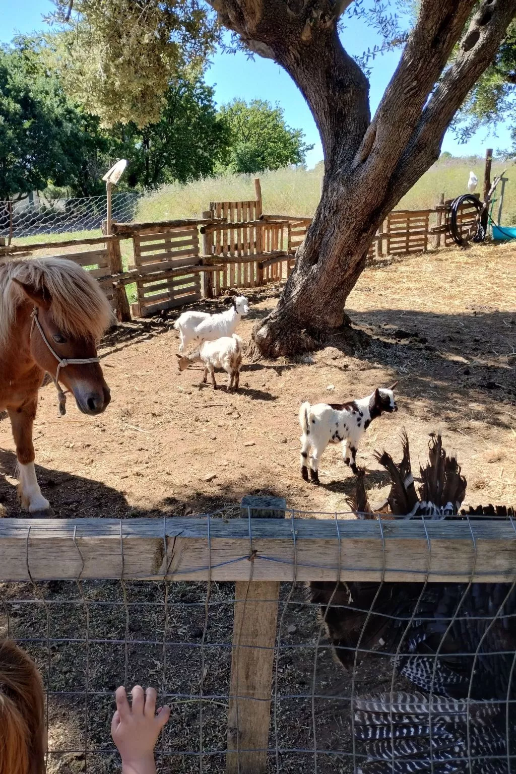 Residenz Heaven 43R-Image-tags.info